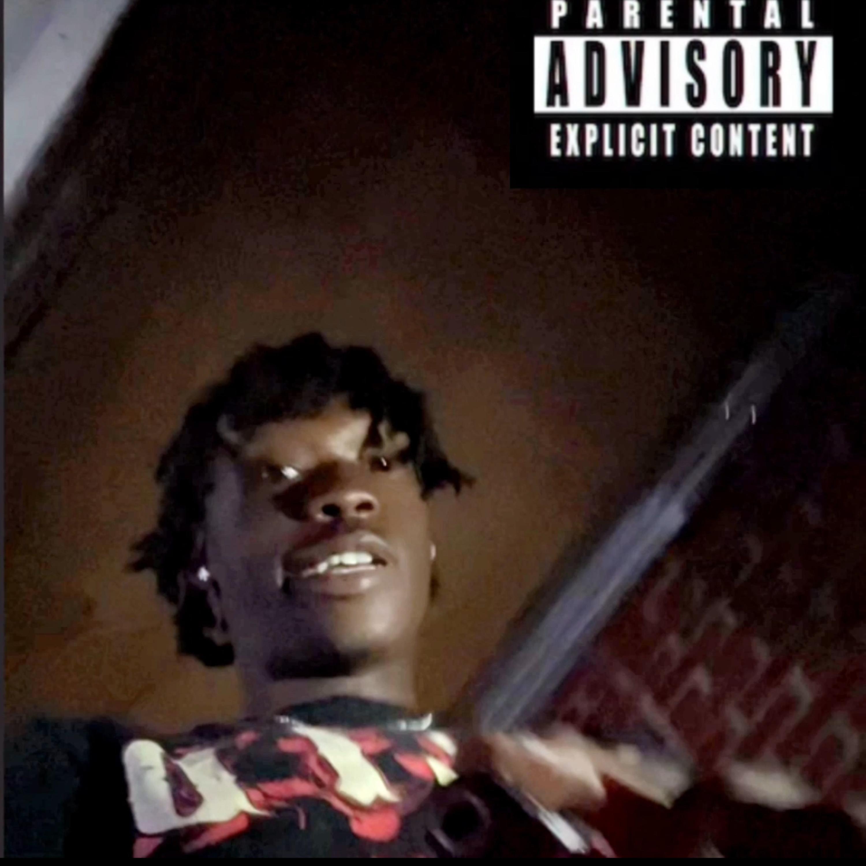 FLi FLo artwork