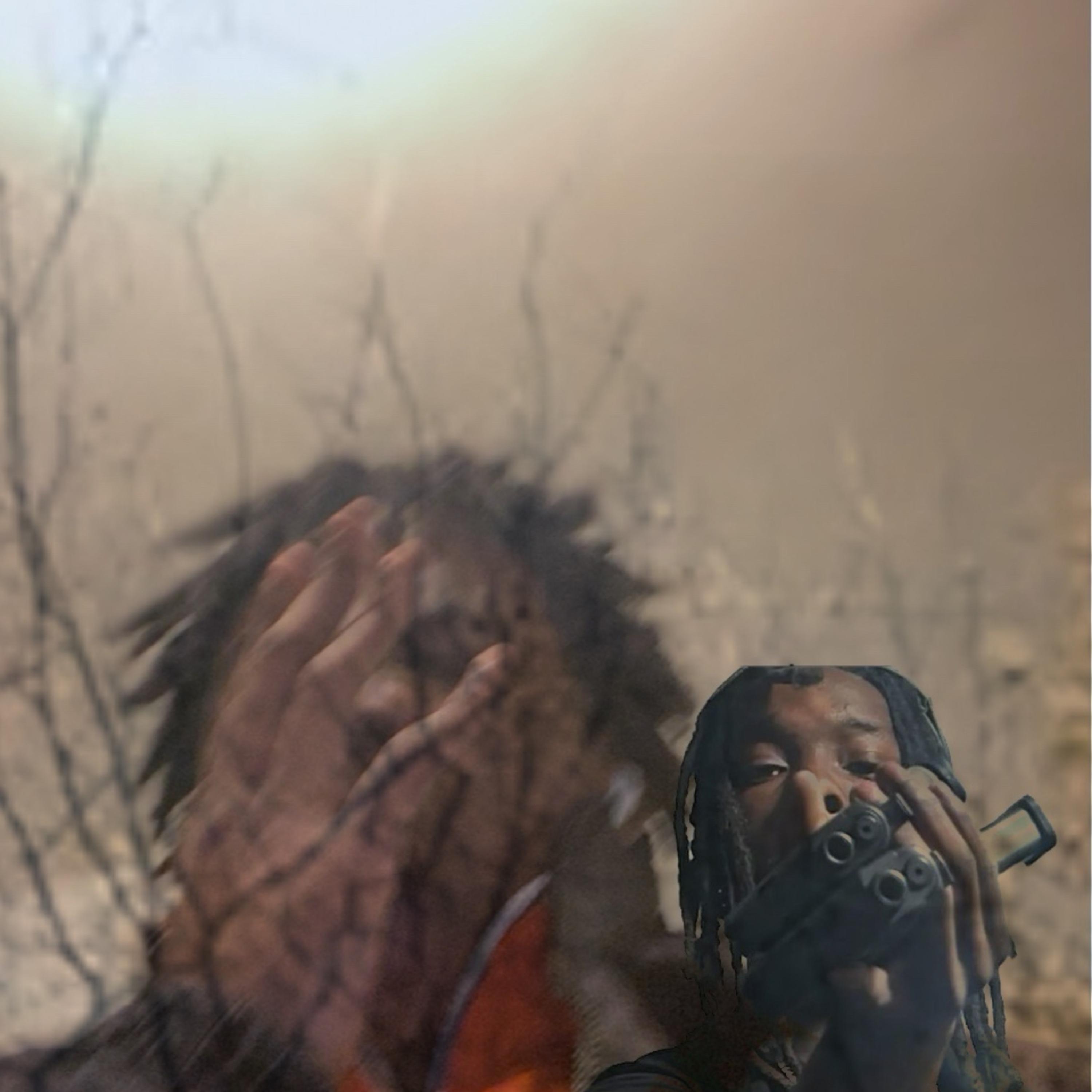 Idc Bout A Hoe artwork