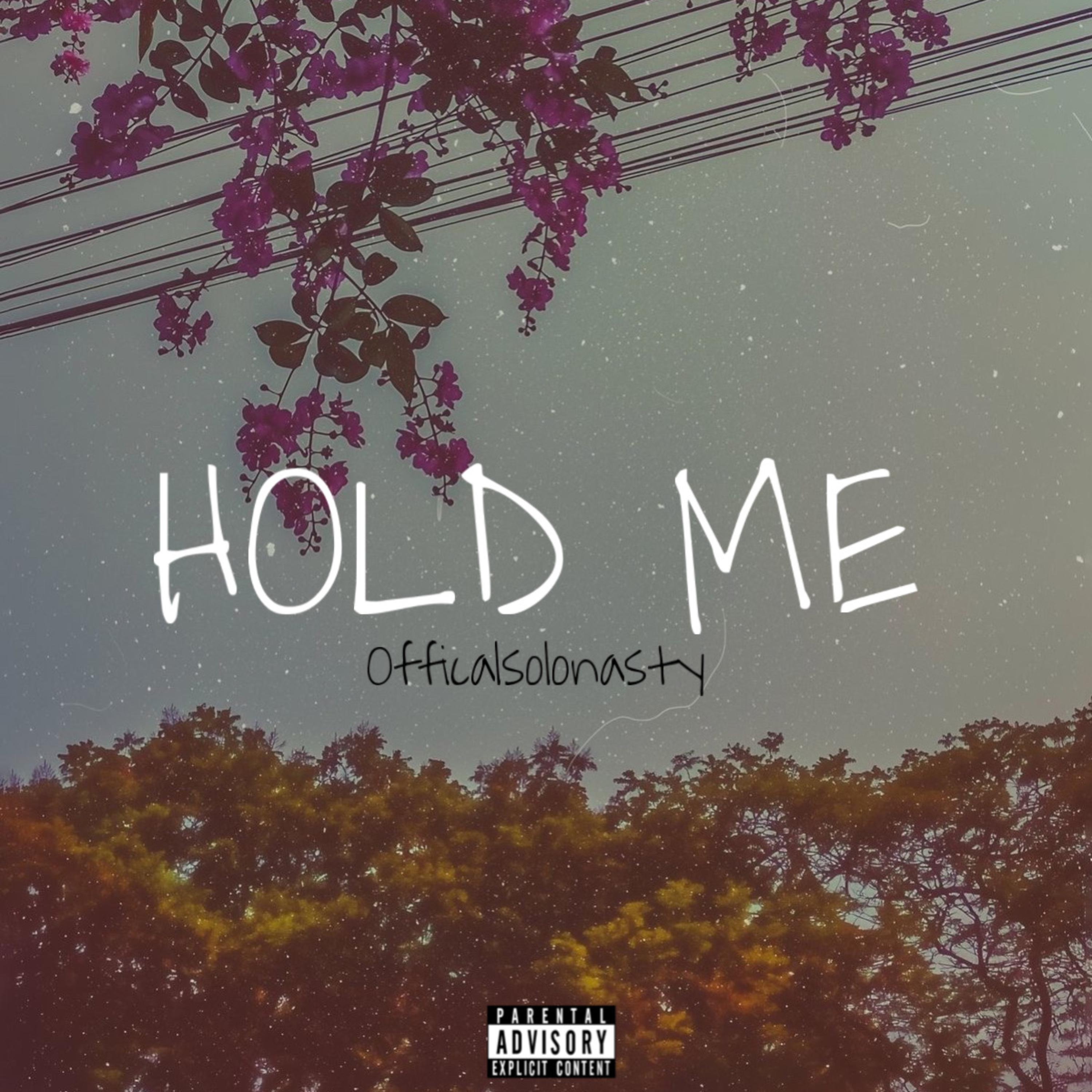HoldMe artwork