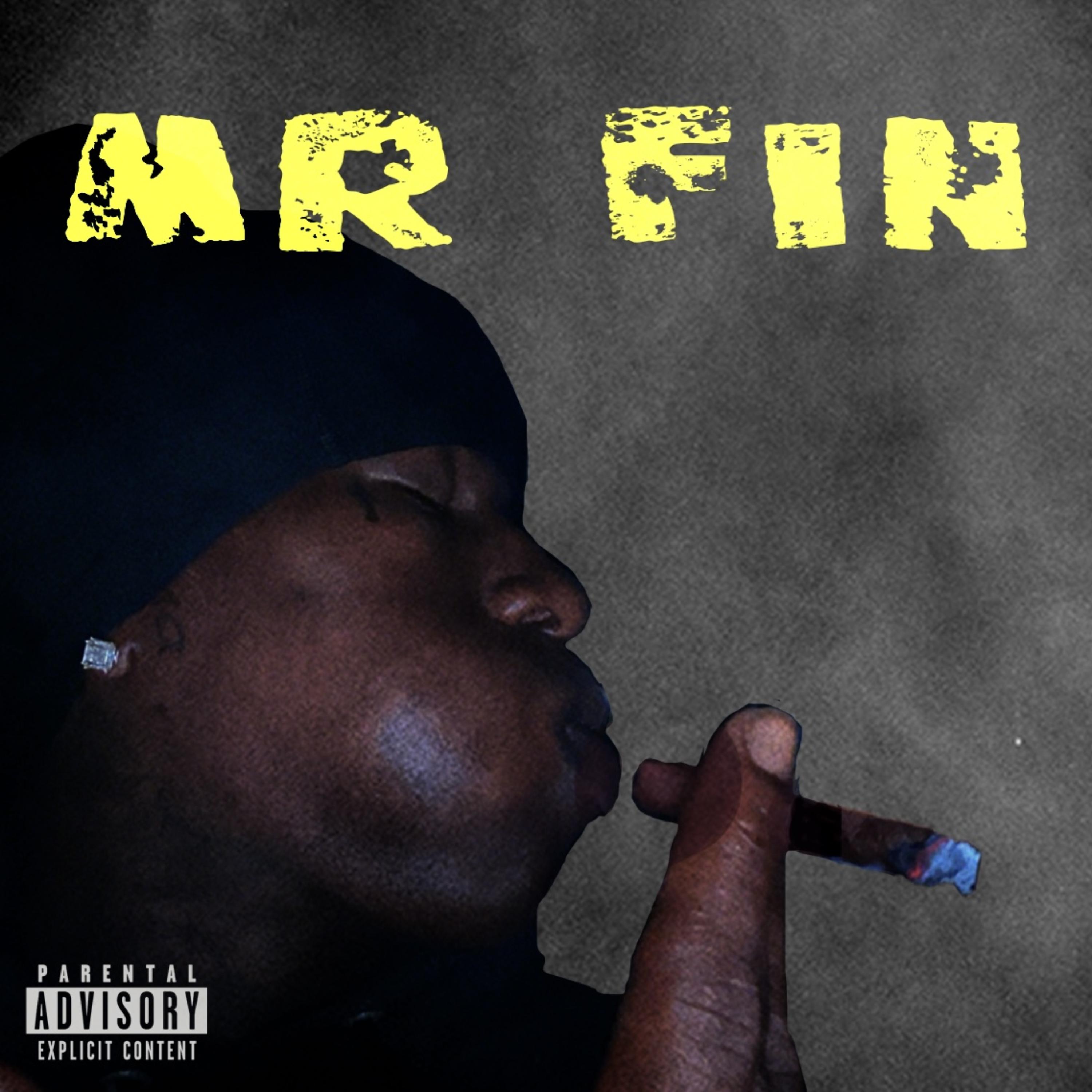 Mr Fin artwork