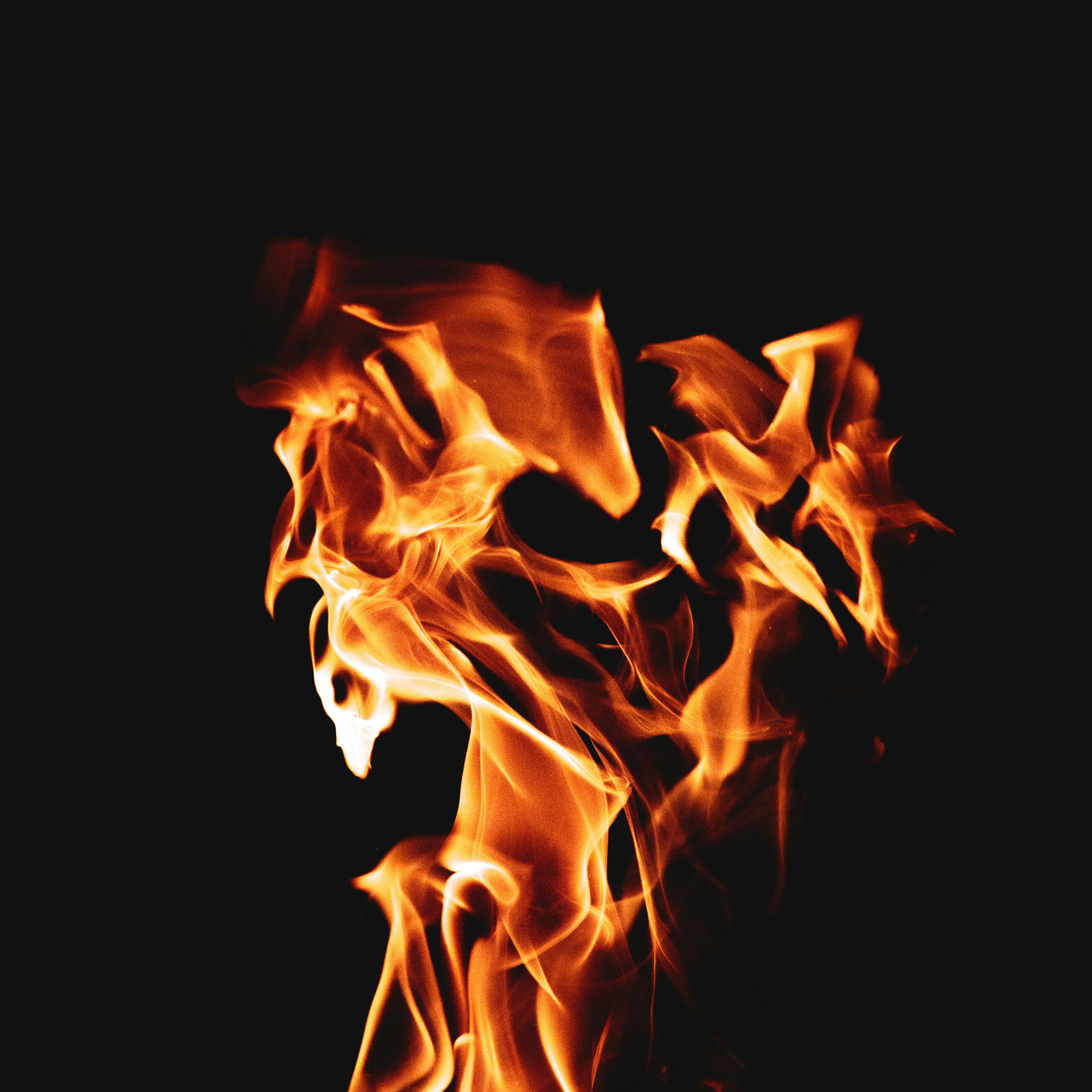ghost rider (freestyle) artwork