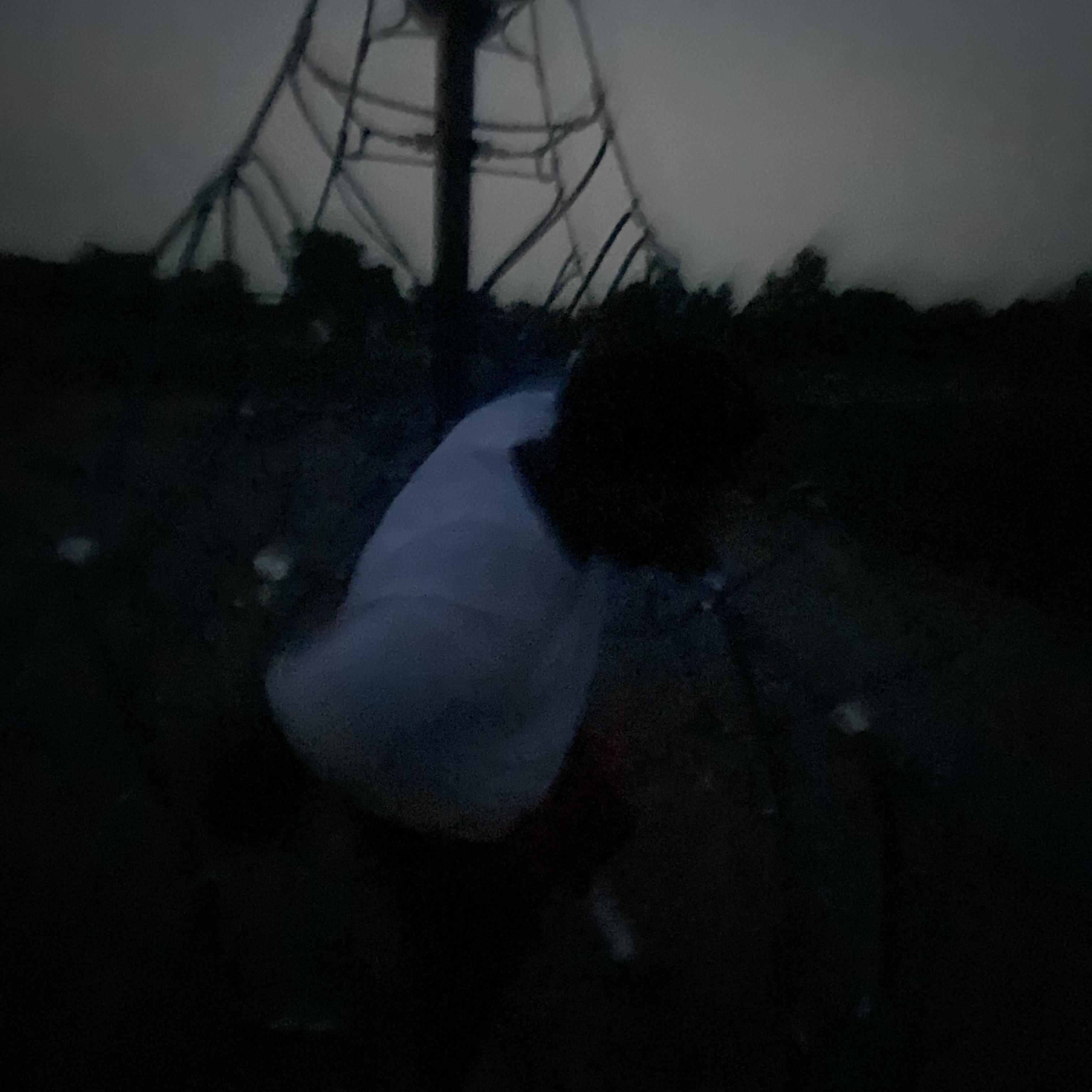 Cruelty artwork