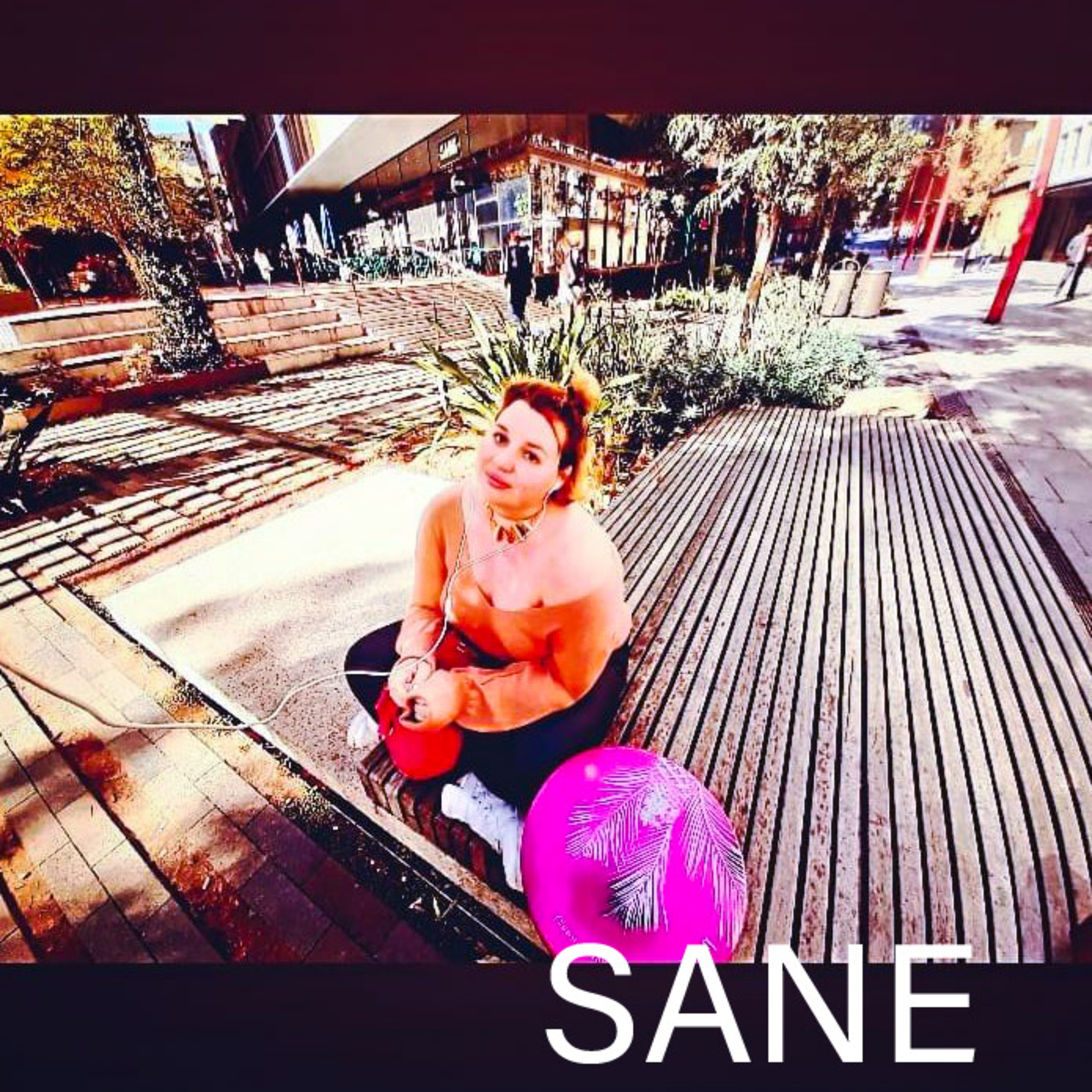 SANE artwork