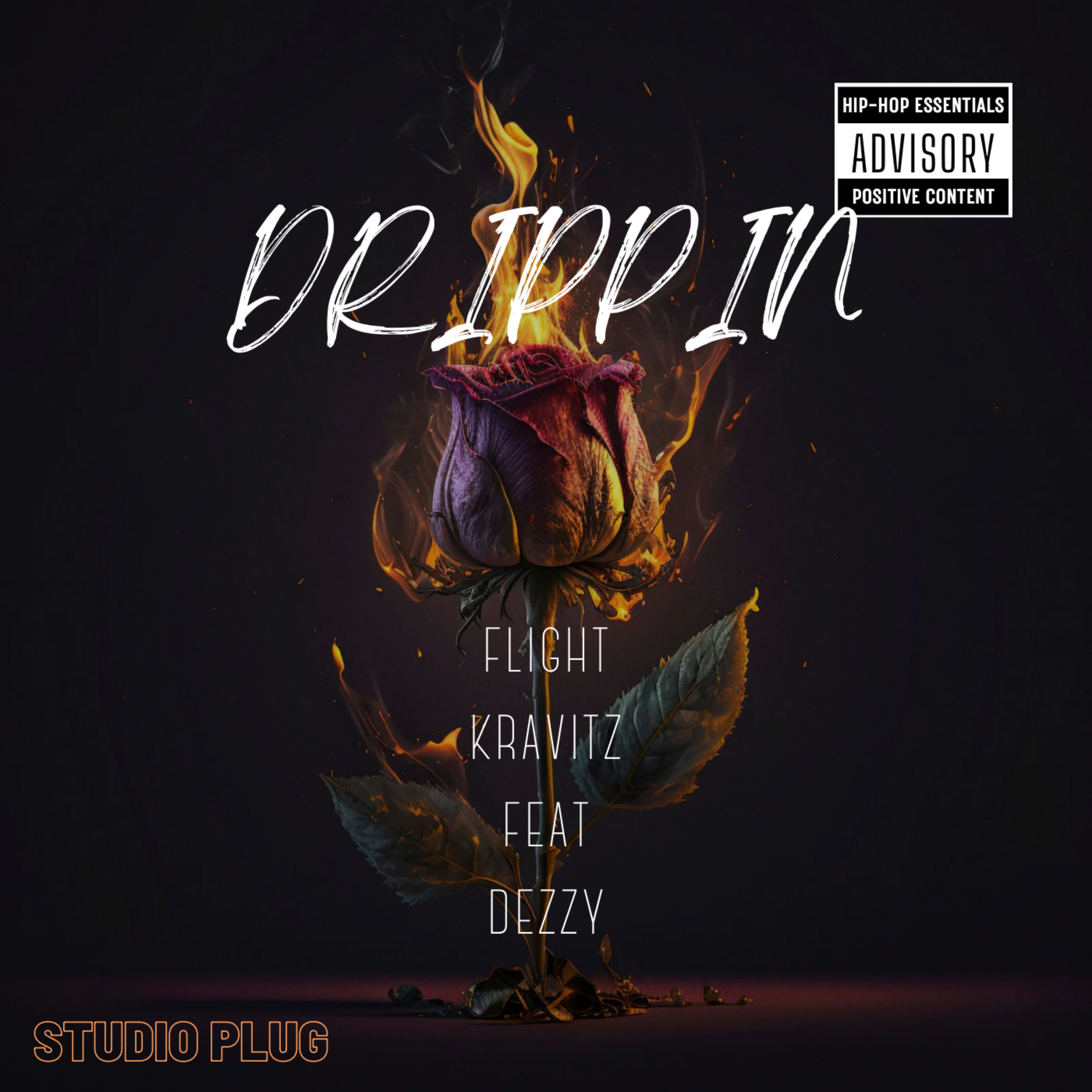 DRIPPIN artwork