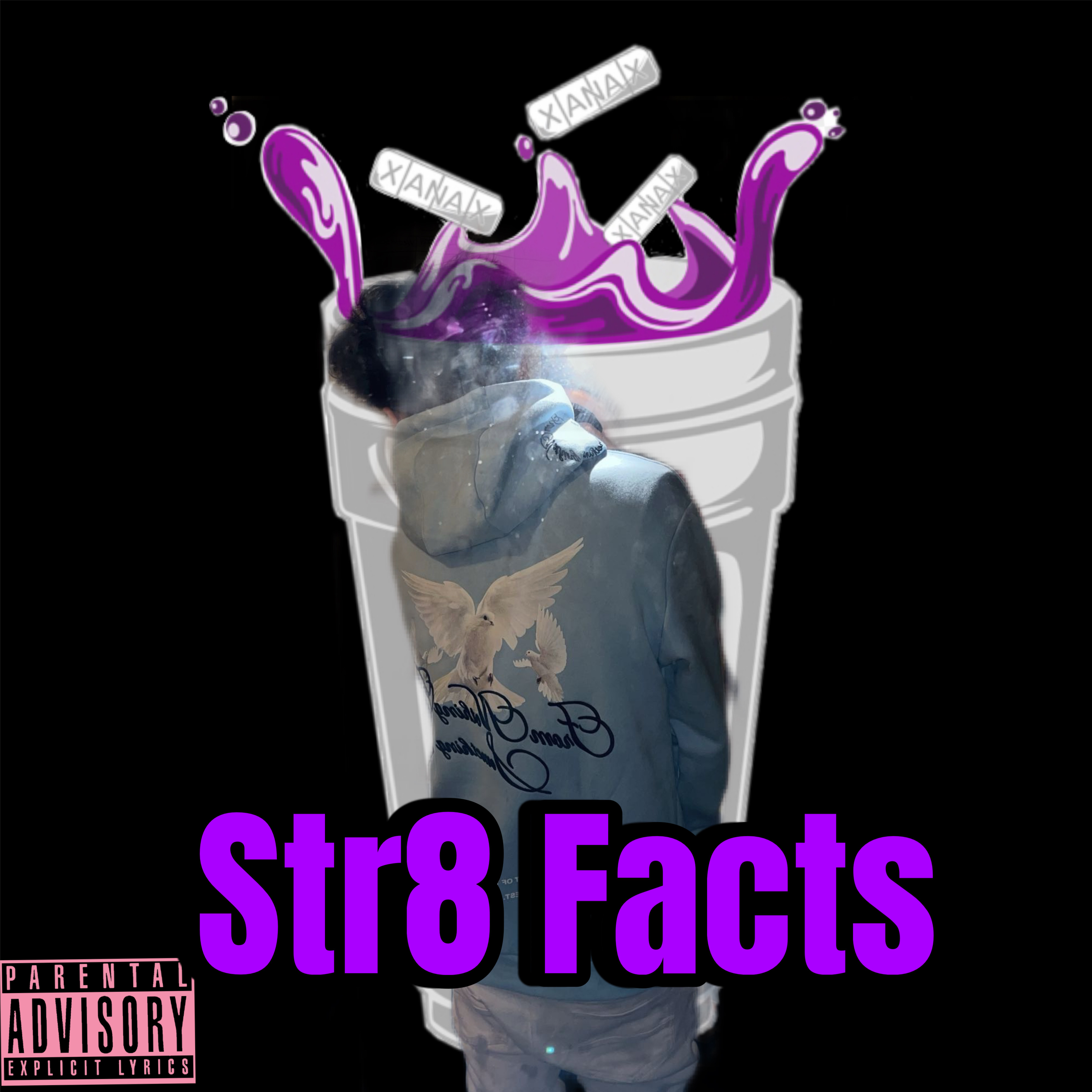Str8 Facts artwork