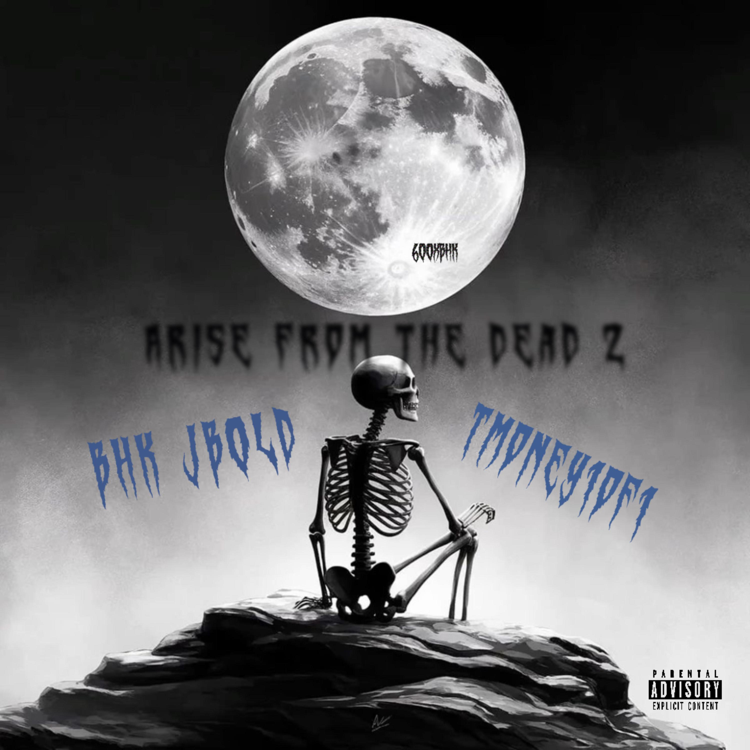 Arise From the DEAD2 artwork
