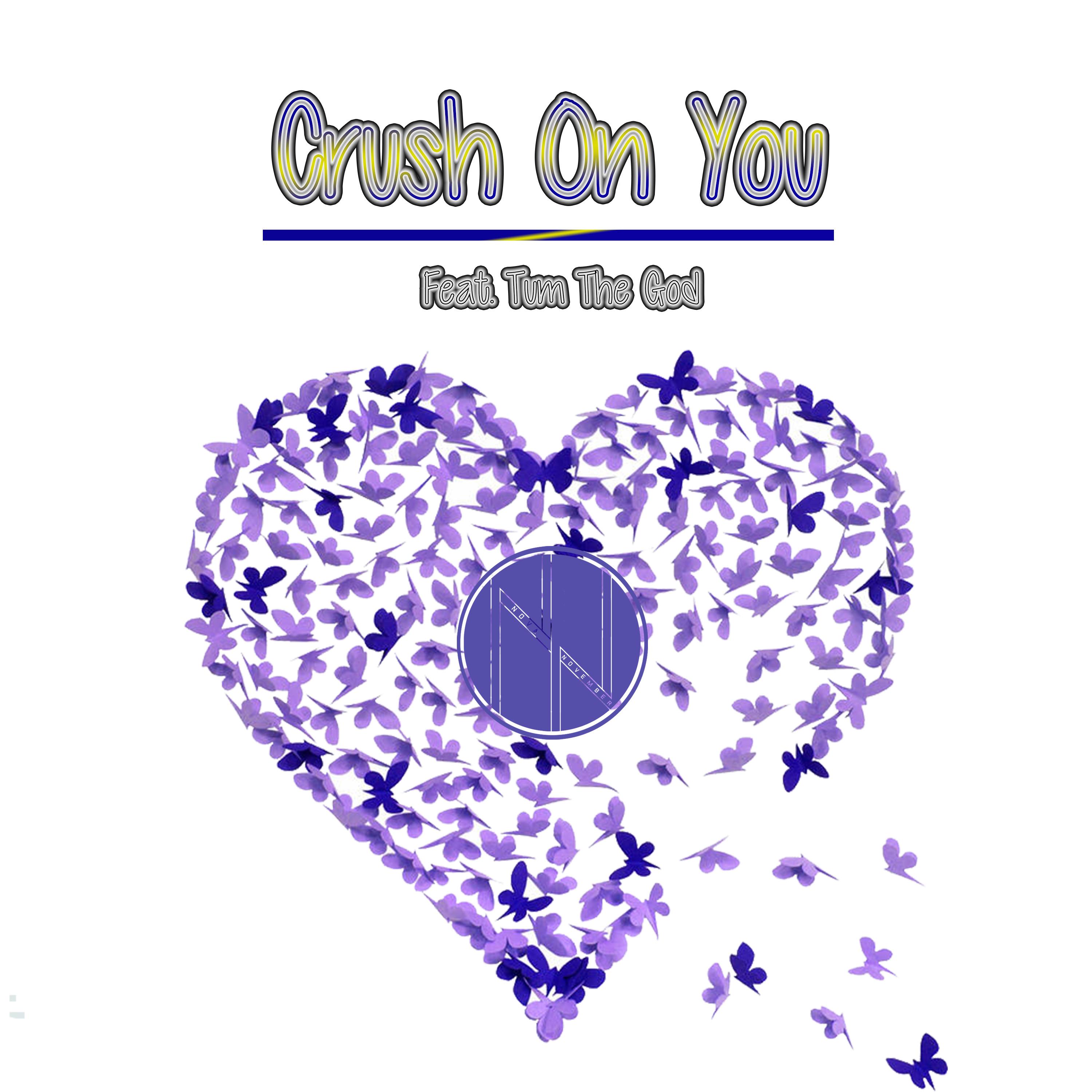 Crush On You by Nova November cover art