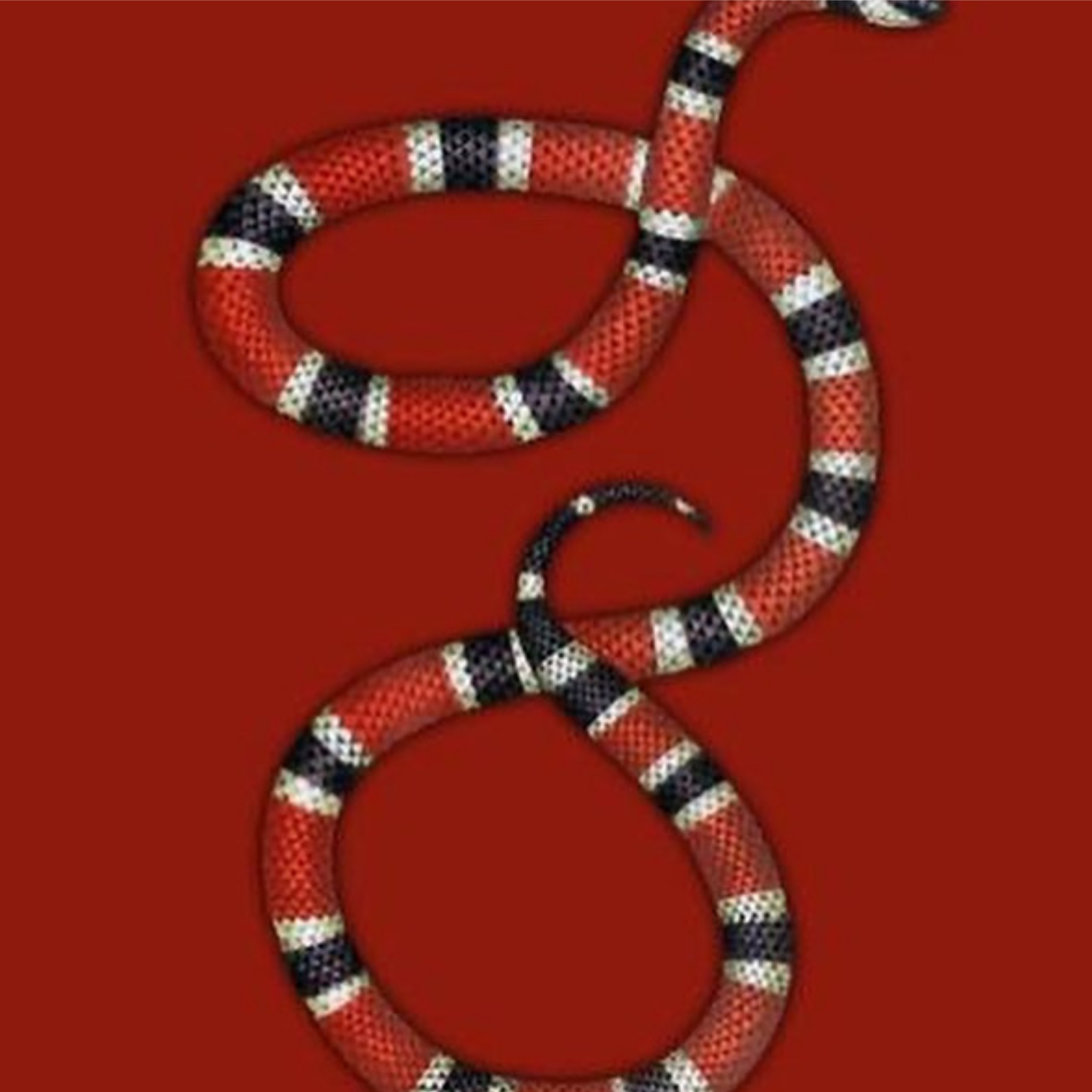 Big Snake artwork