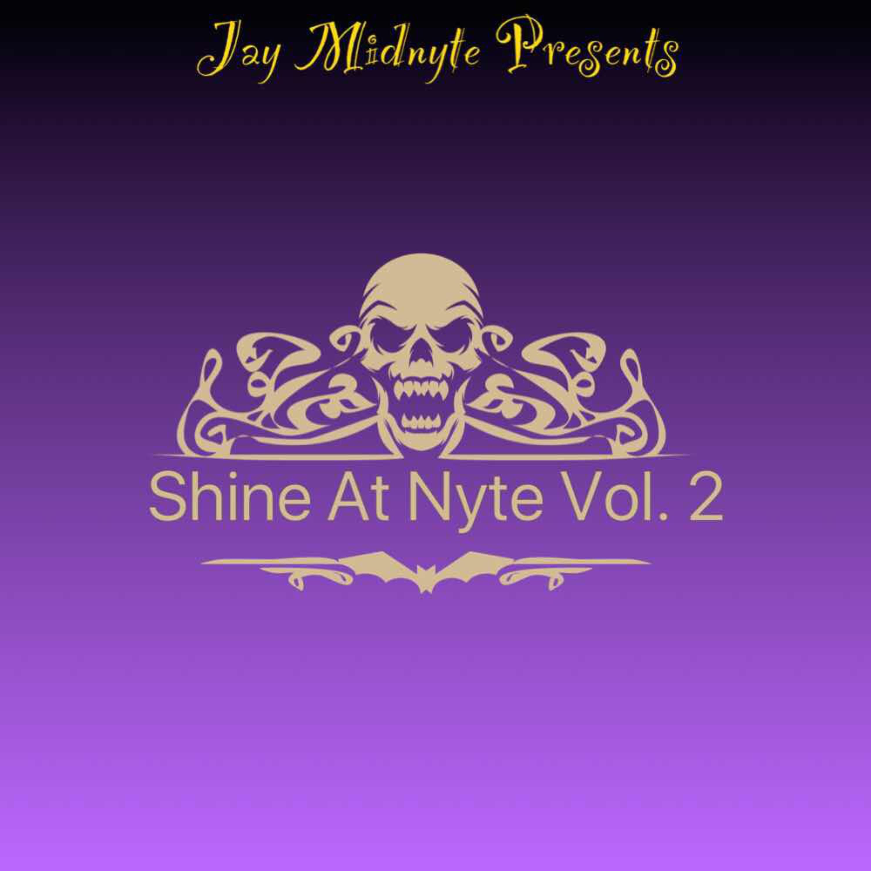 Shine At Nyte Vol. 2 artwork