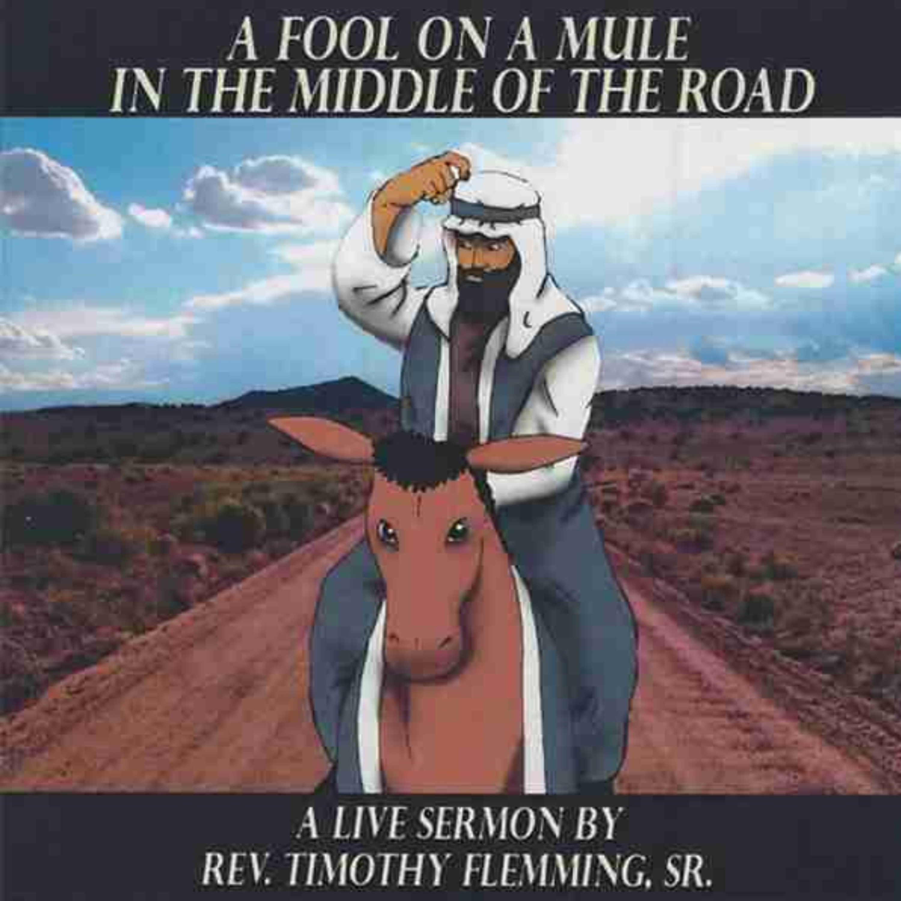 A Fool On A Mule artwork