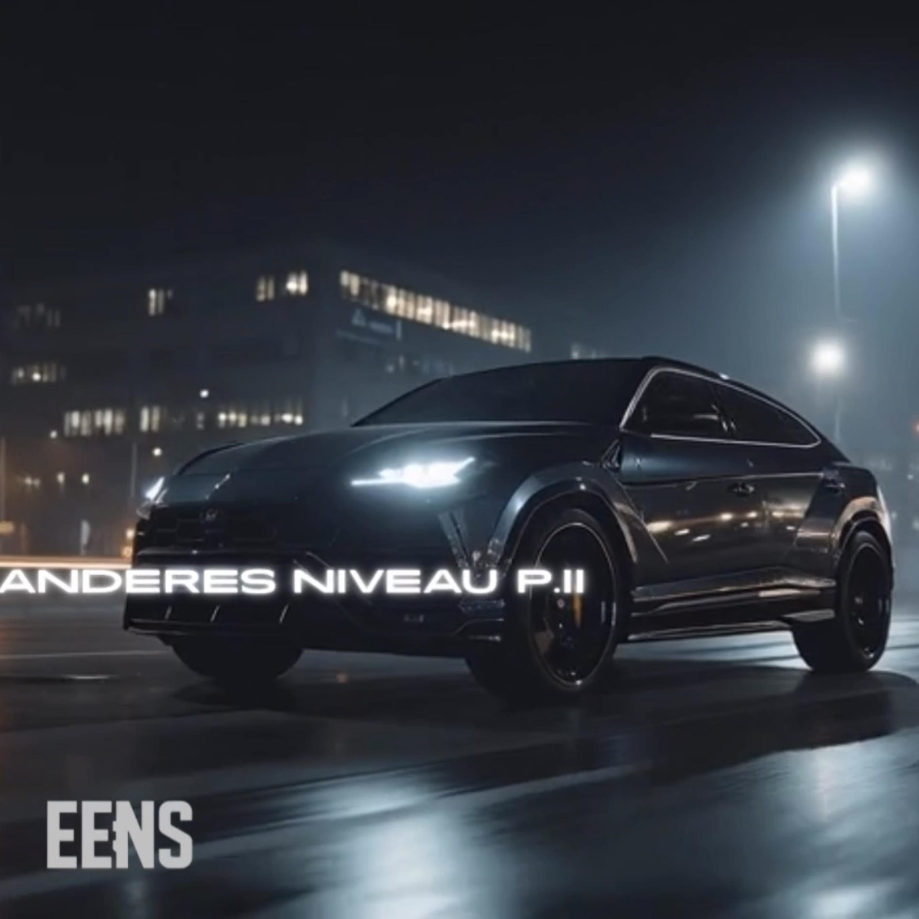 Anderes Niveau P.II artwork