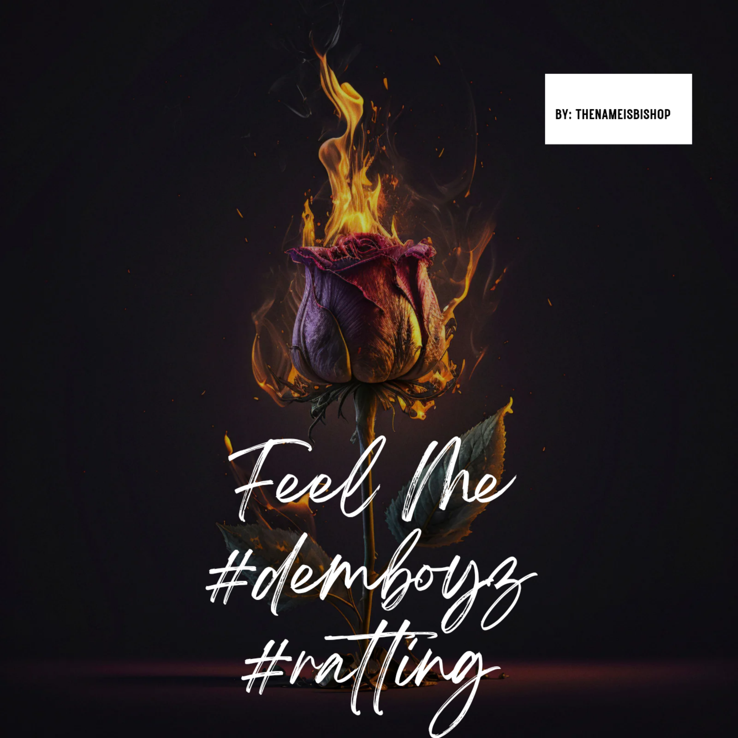 Feel Me #demboyz #ratting artwork