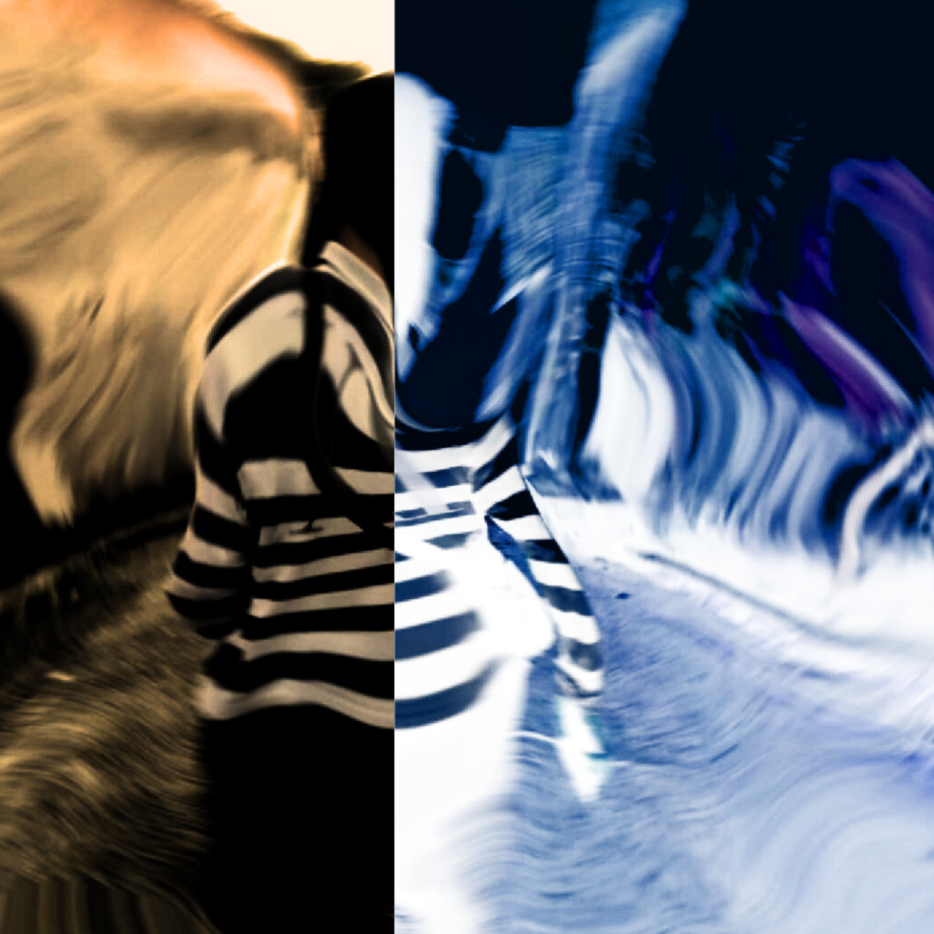 NOTA 10 artwork