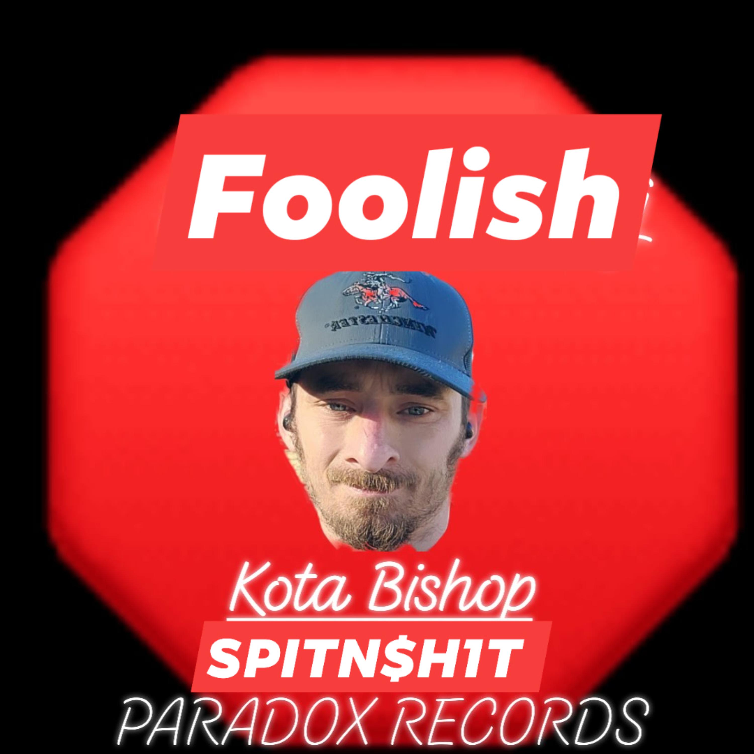 Foolish by Dakota Bishop cover art