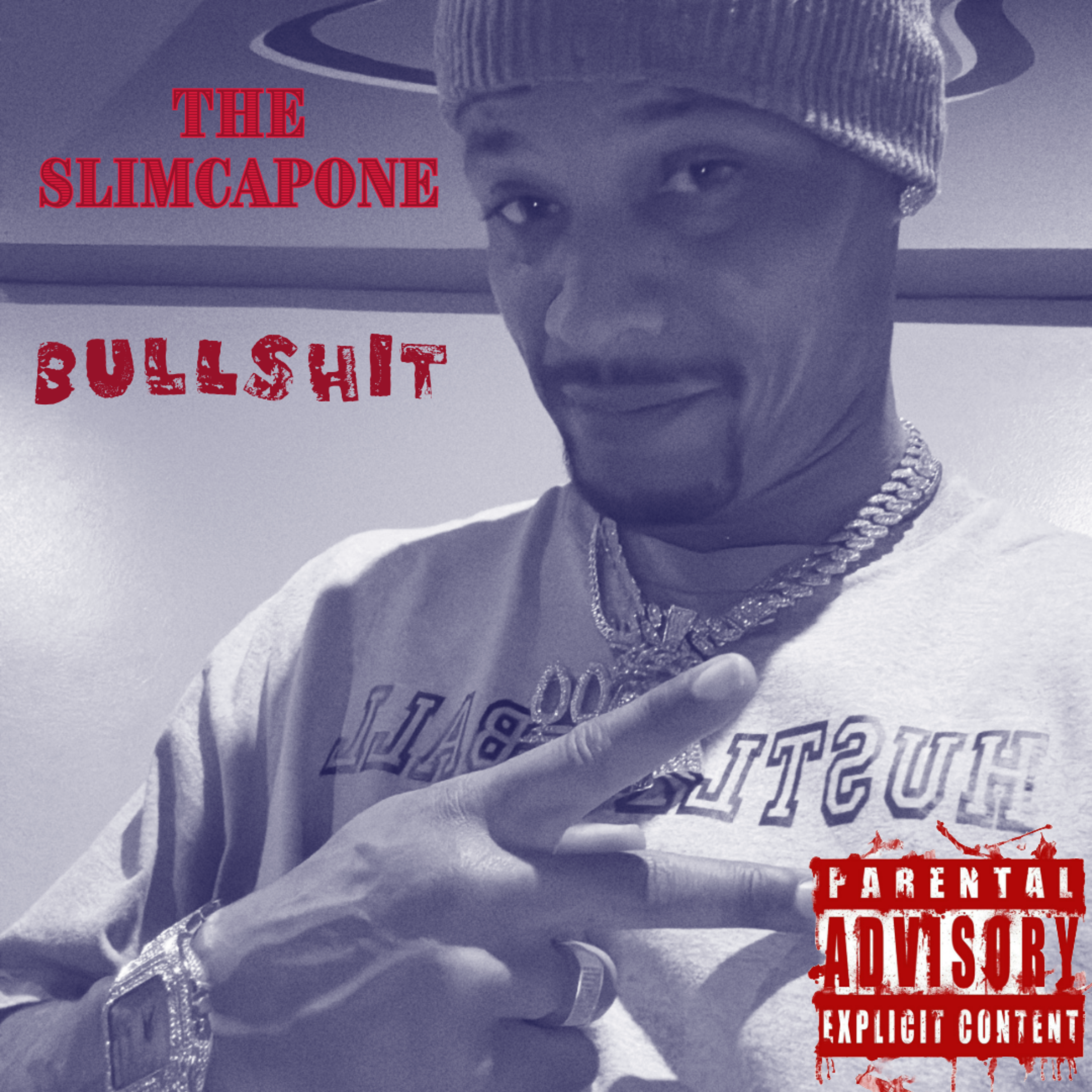 Bull Shit artwork