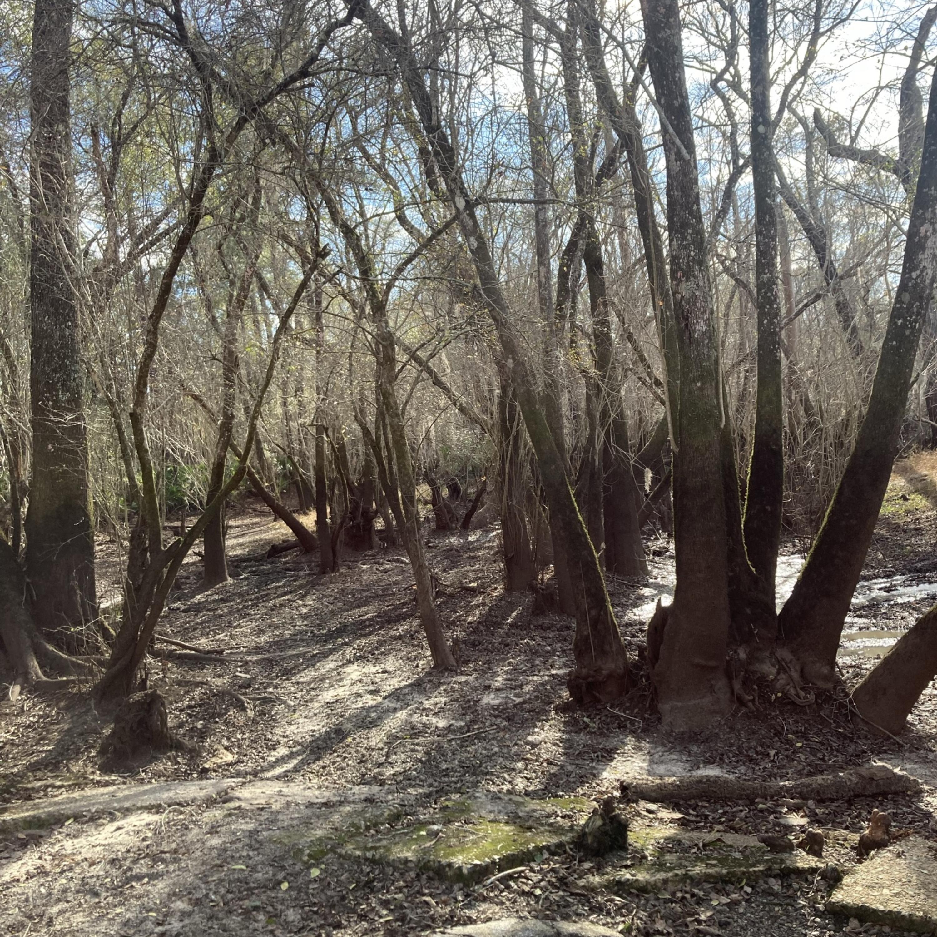 The Lady Of The Lake artwork