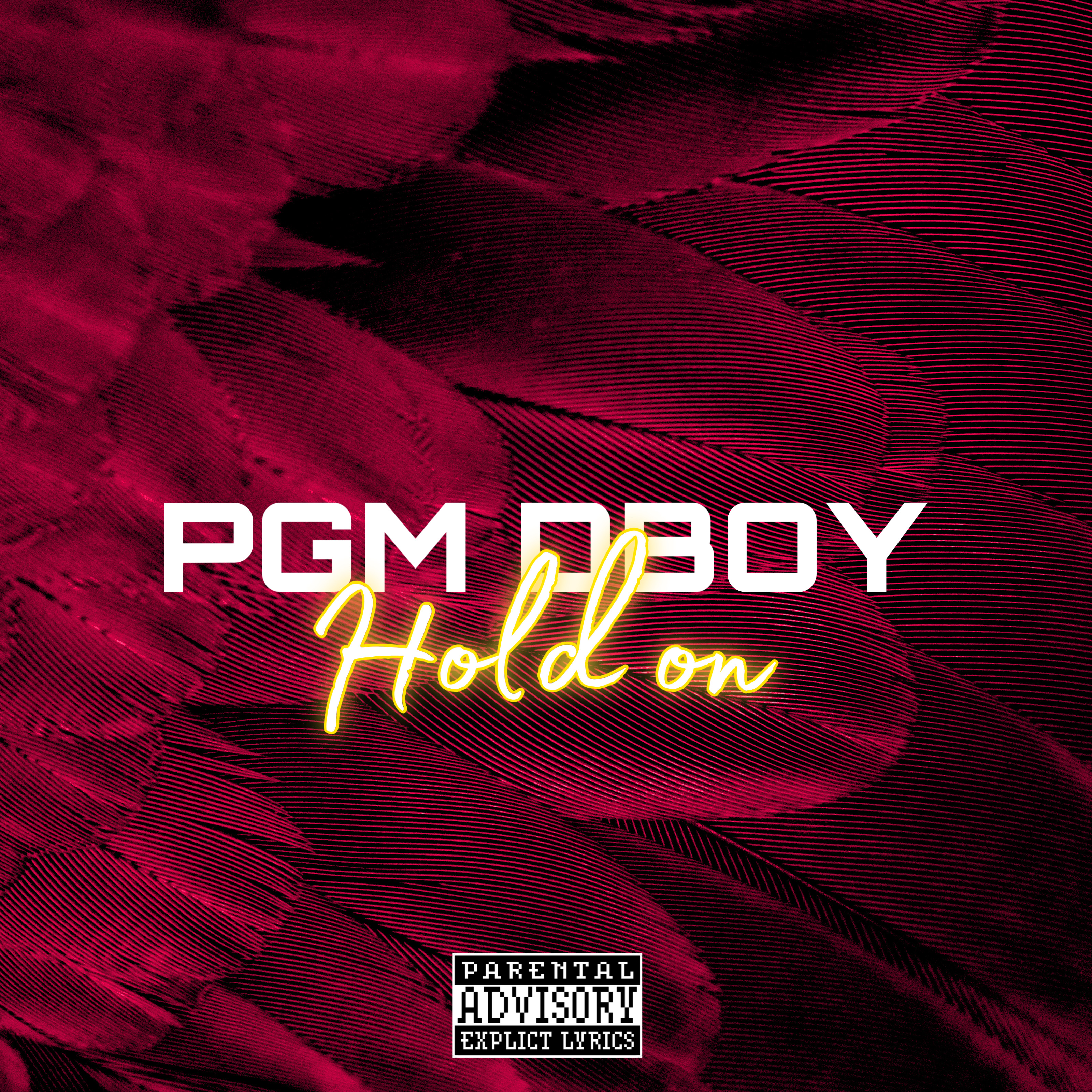 Hold on artwork