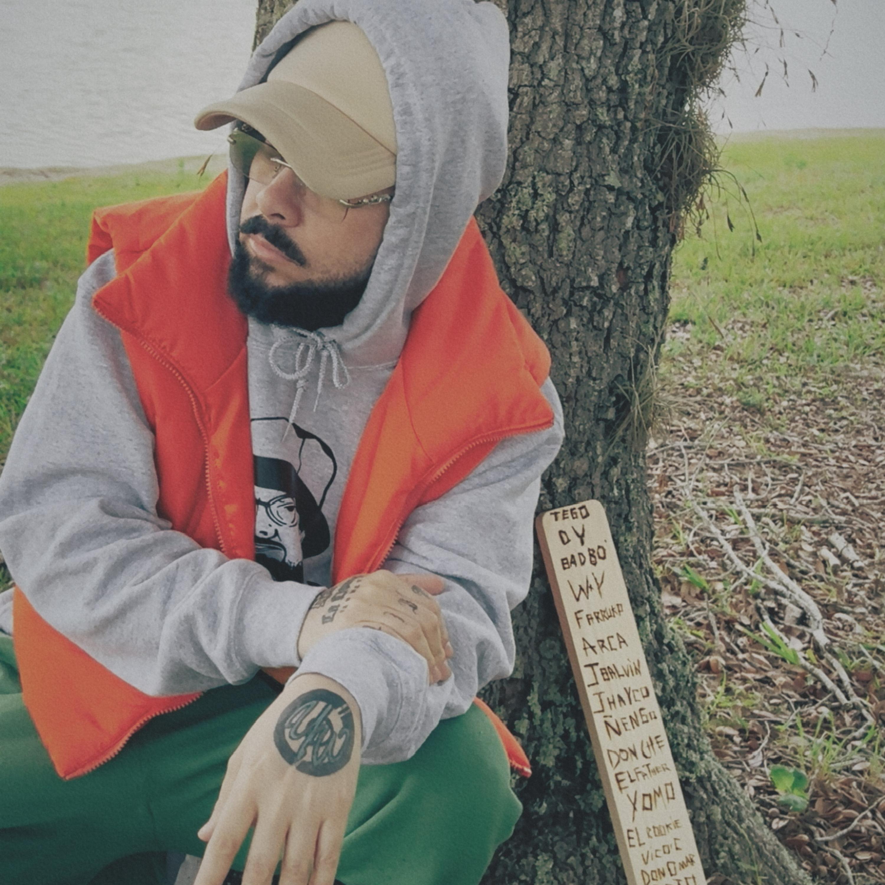 INCREDULIDAD artwork