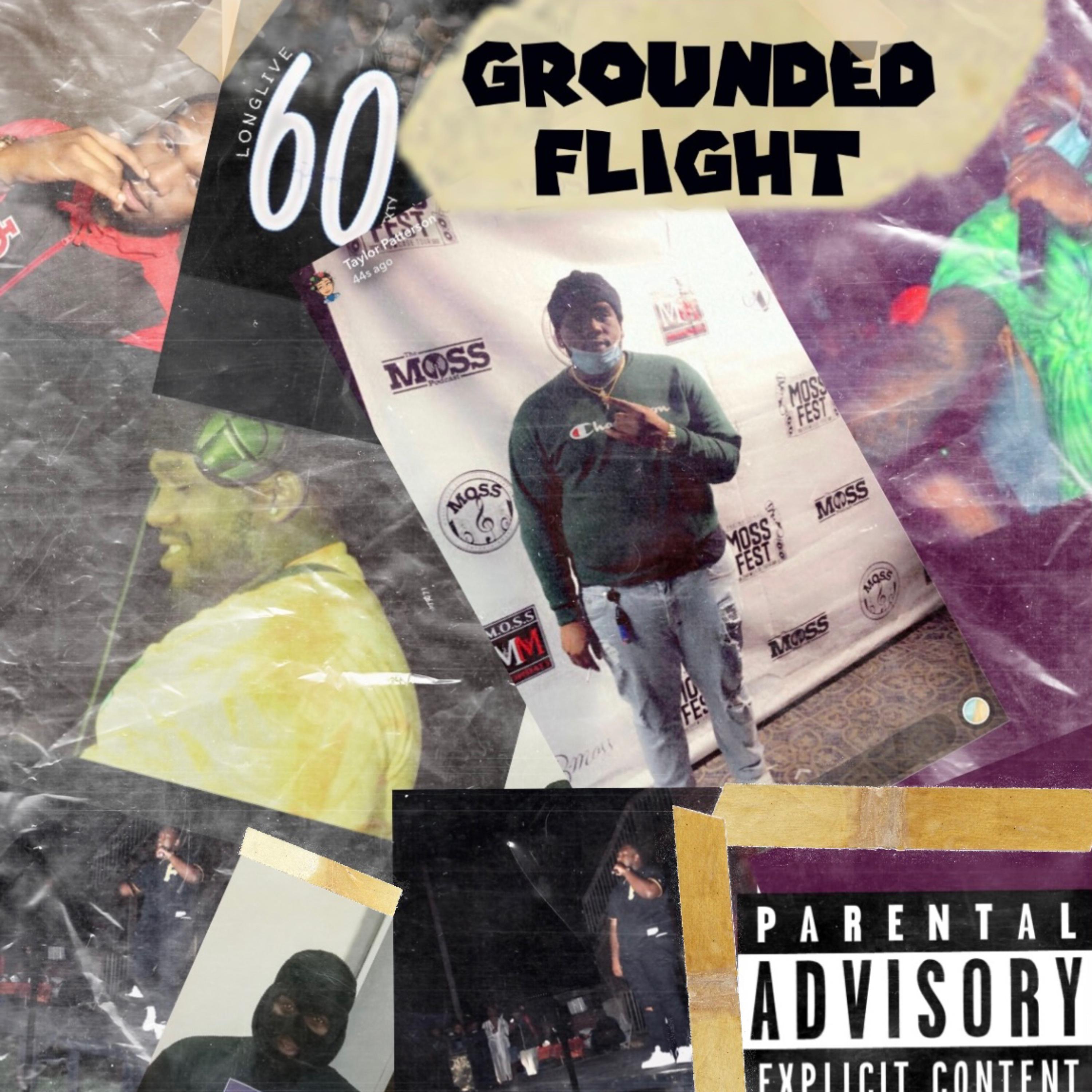 Grounded Flight by GMG_Grizz cover art