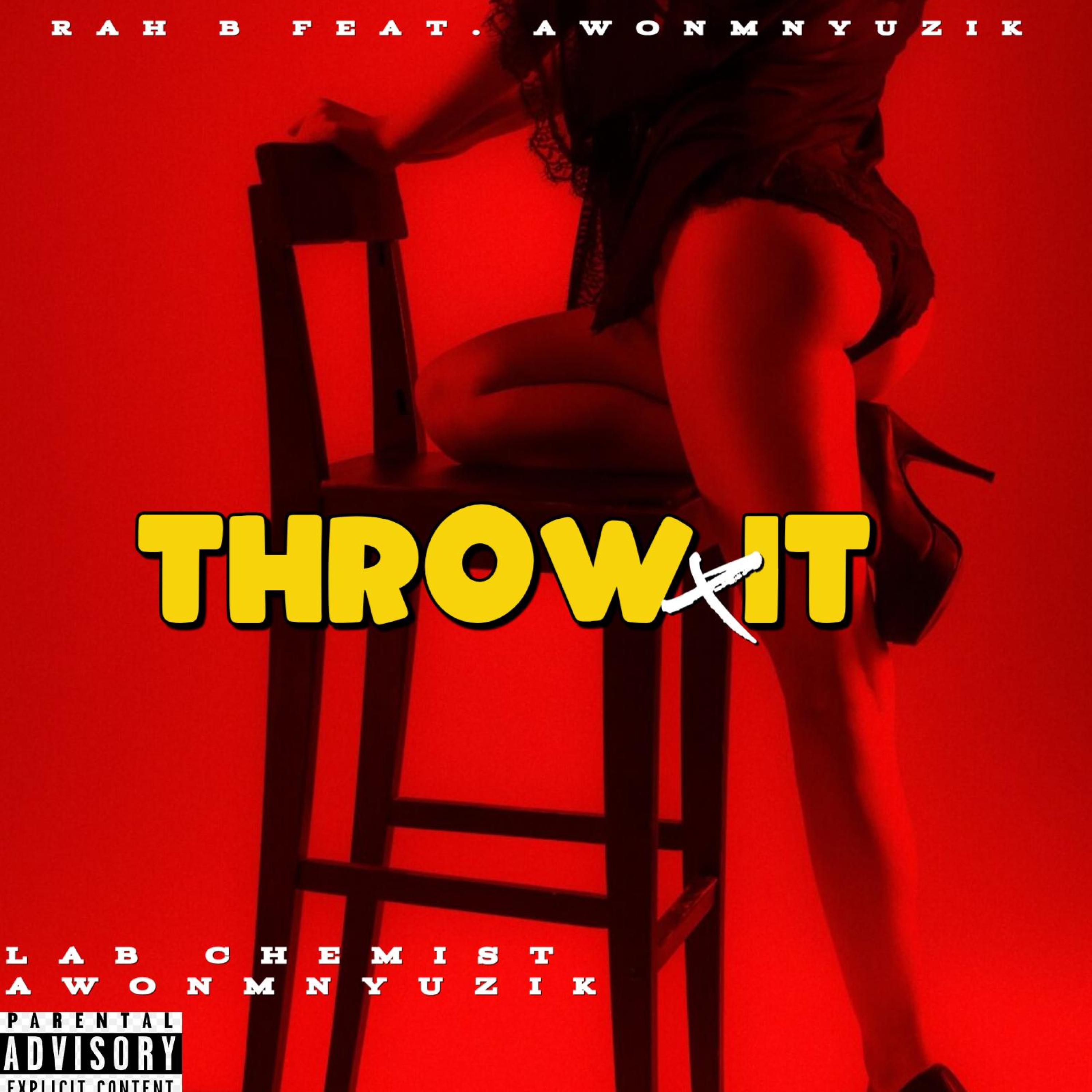 THROW IT artwork