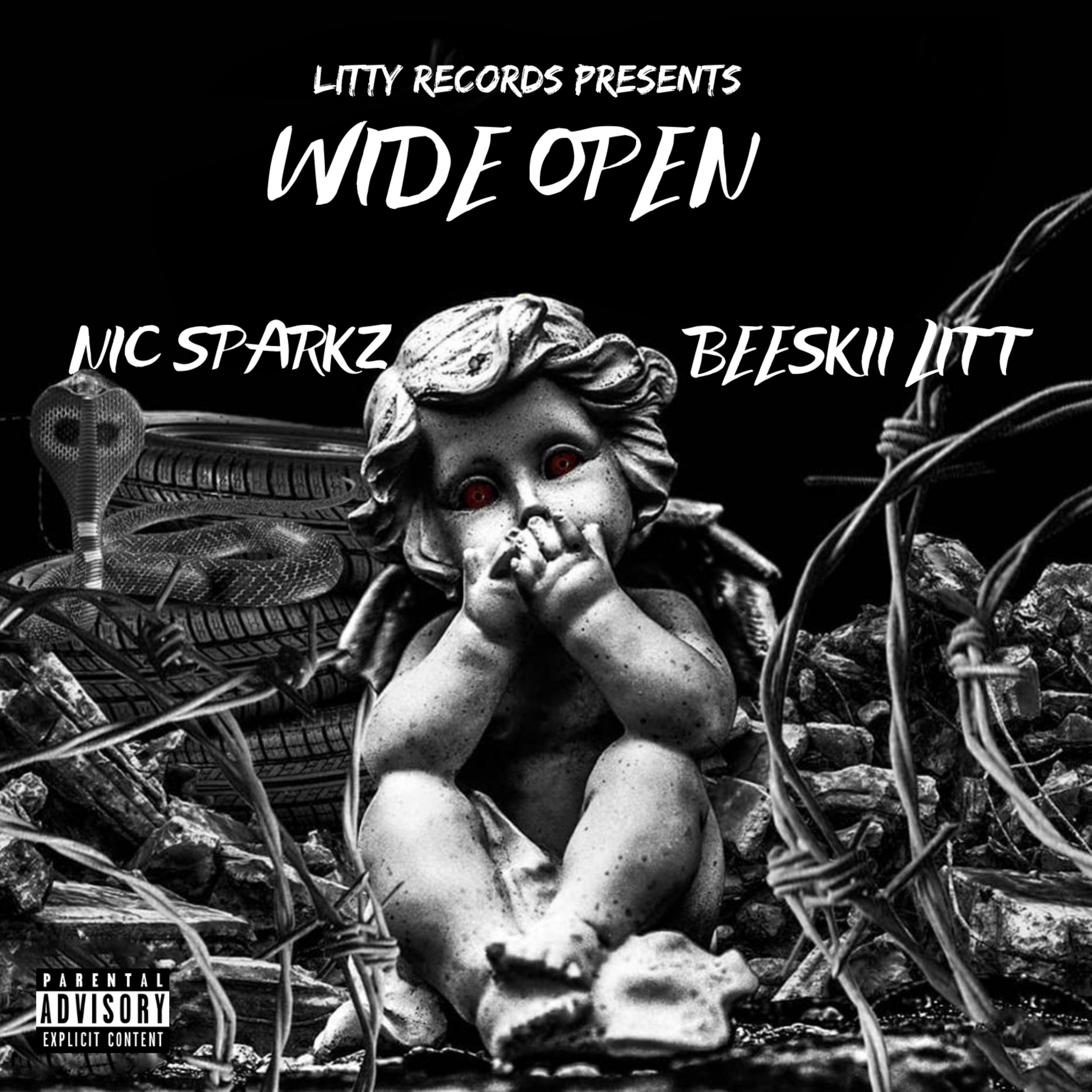 Wide Open artwork