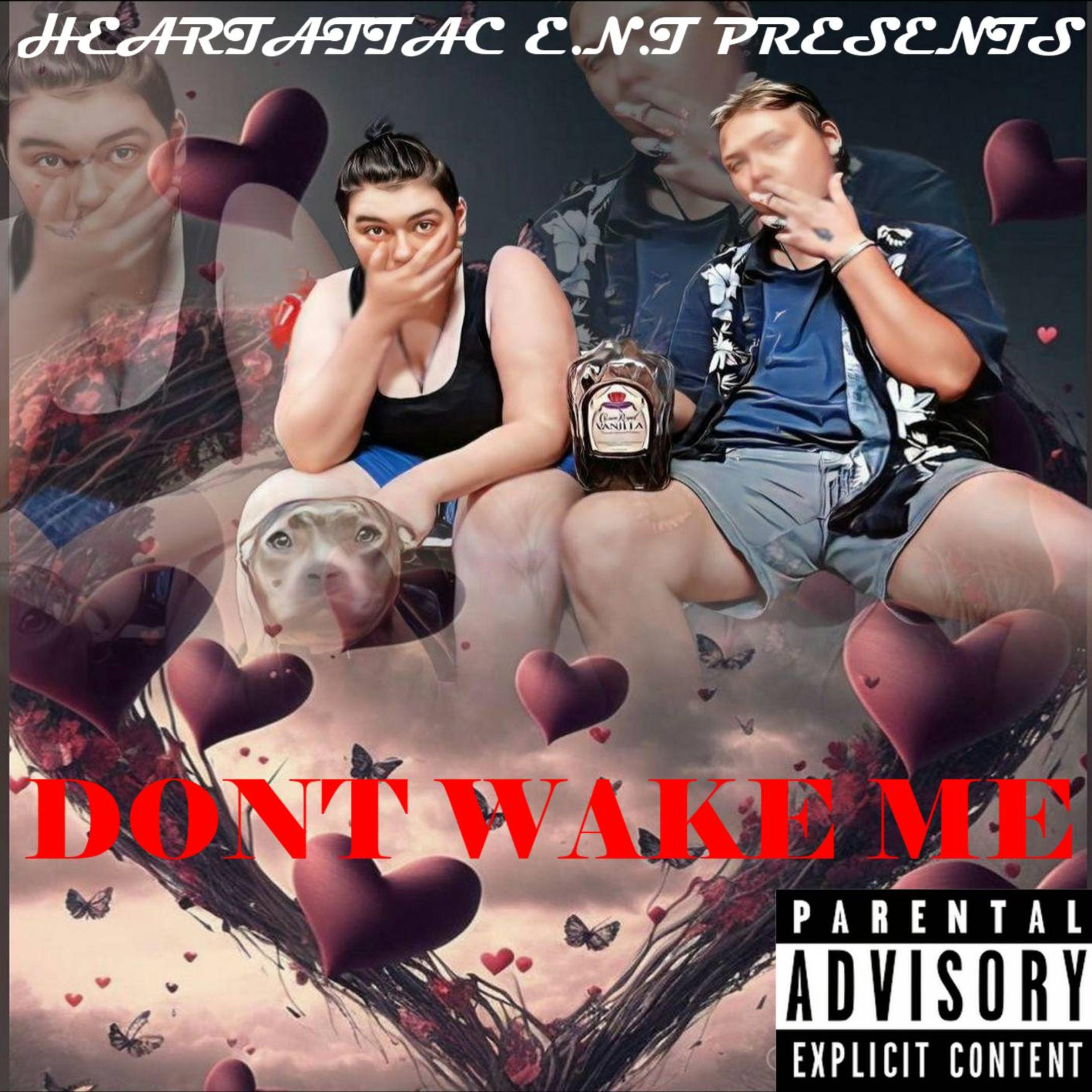 Dont Wake Me artwork