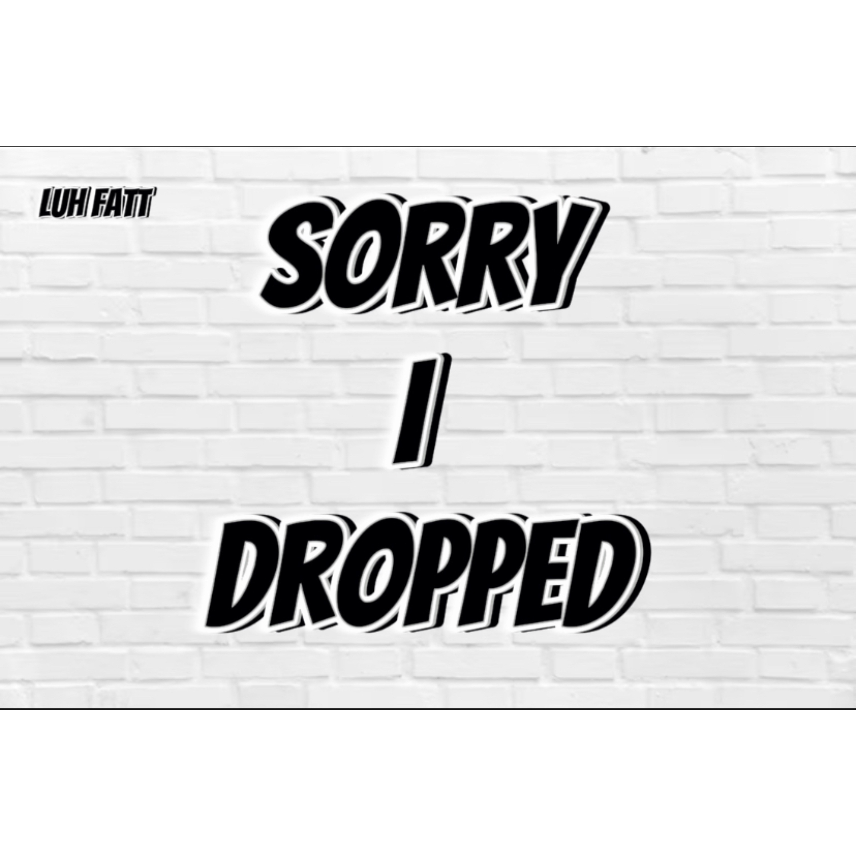 SORRY I DROPPED artwork