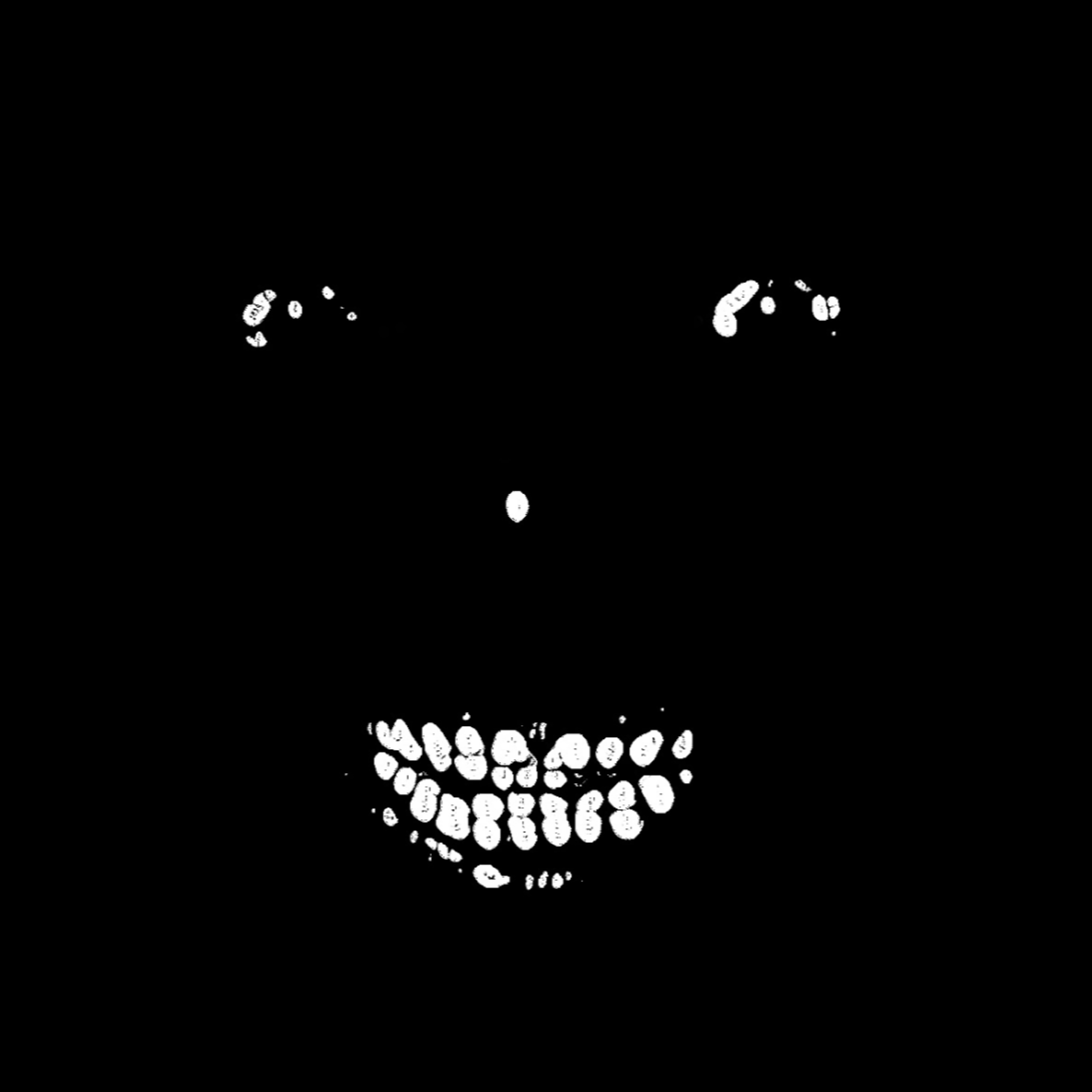 FLORRI MAN artwork