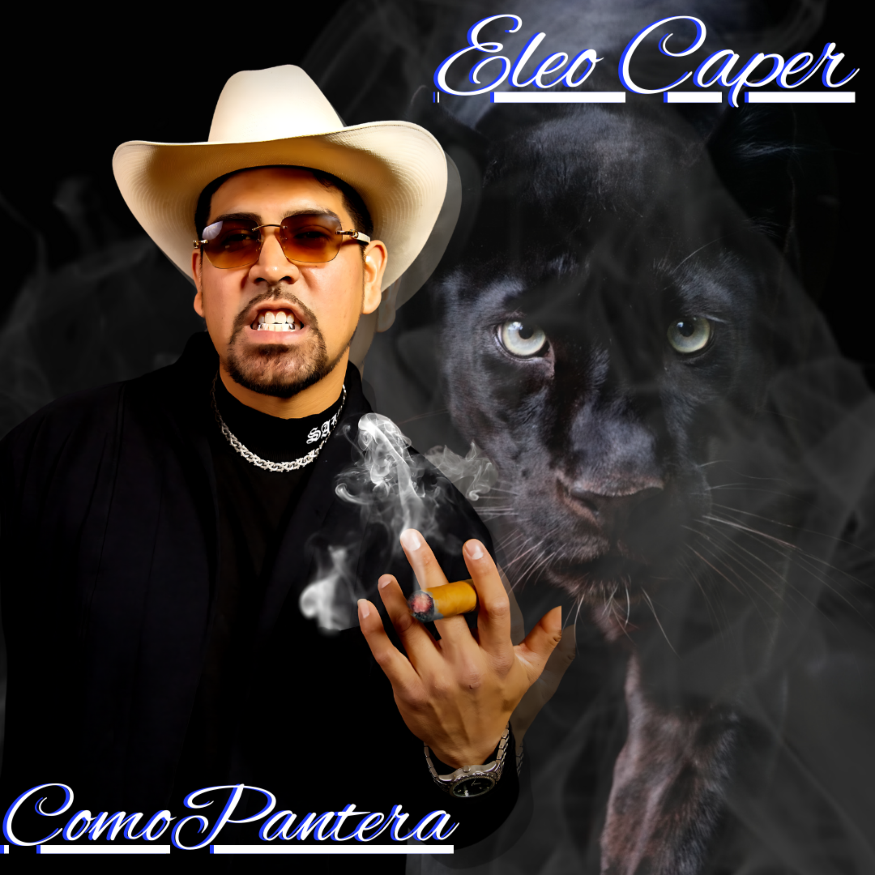 Como Pantera artwork