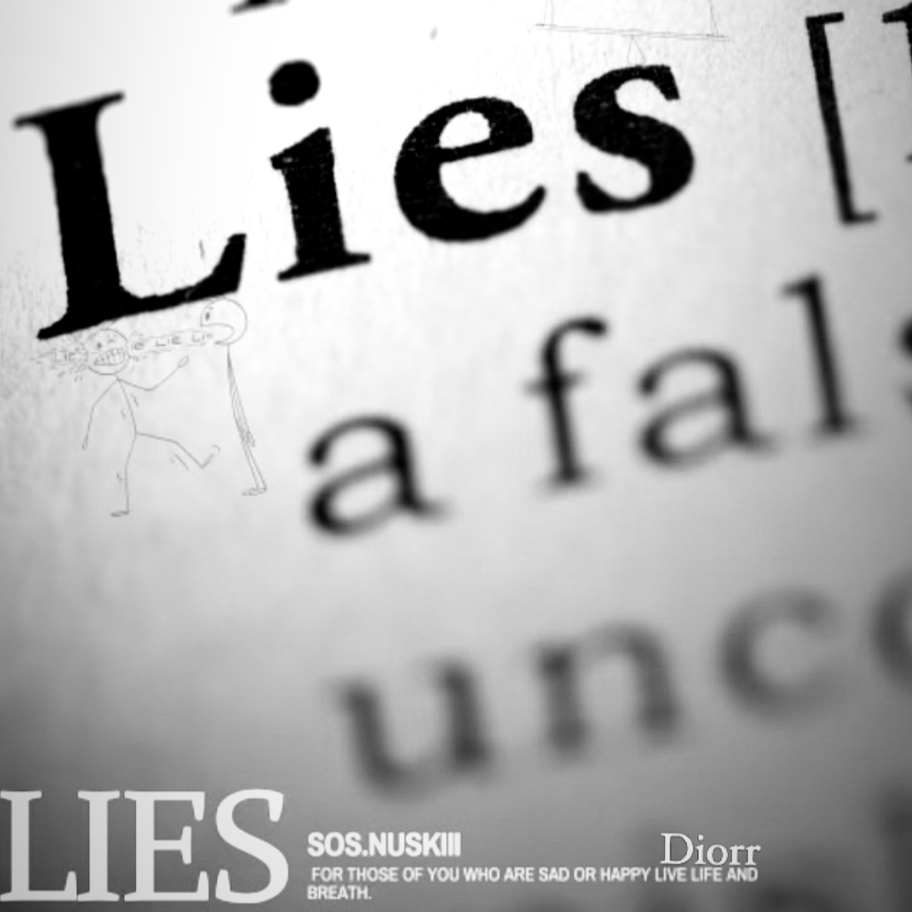 Lies artwork