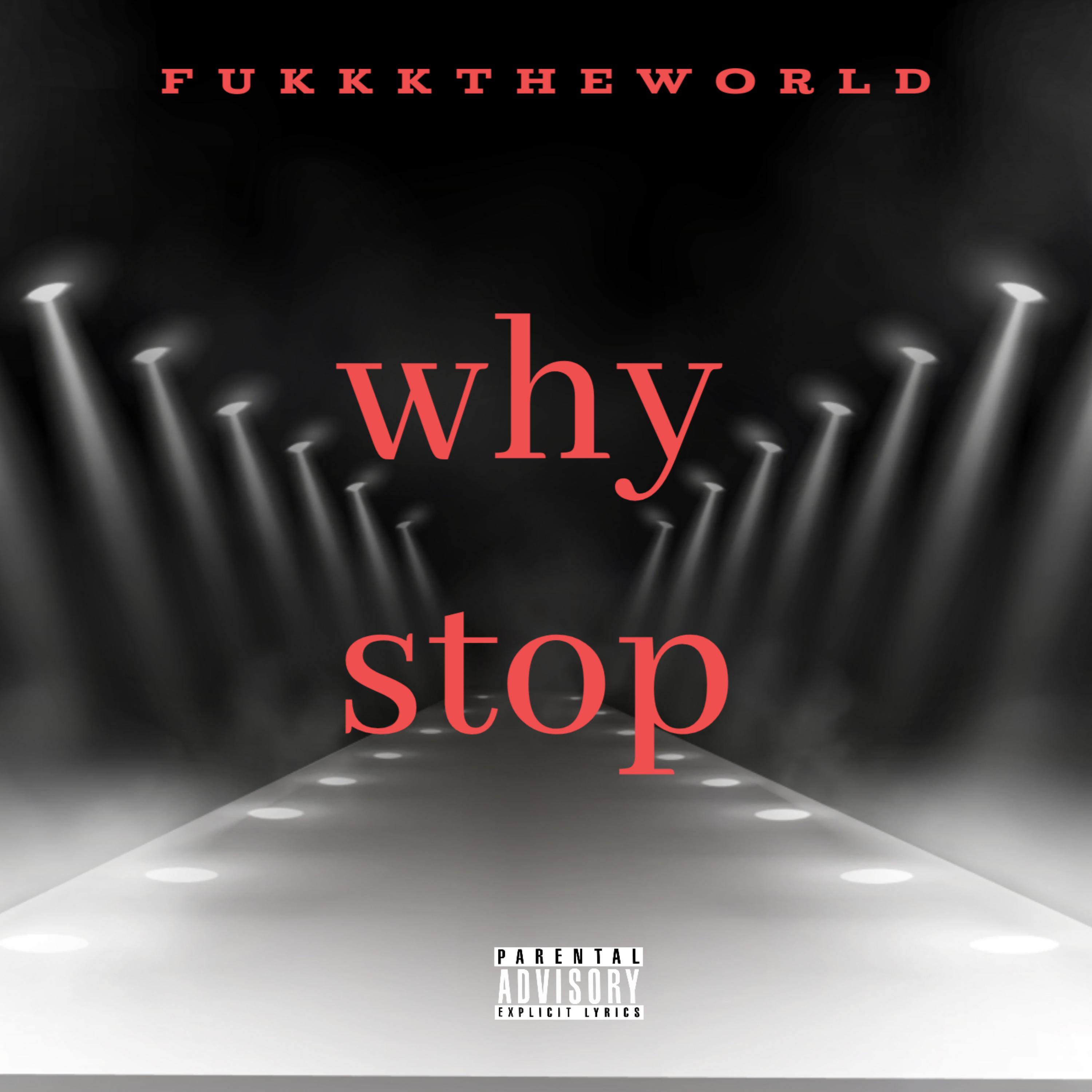 why stop? artwork