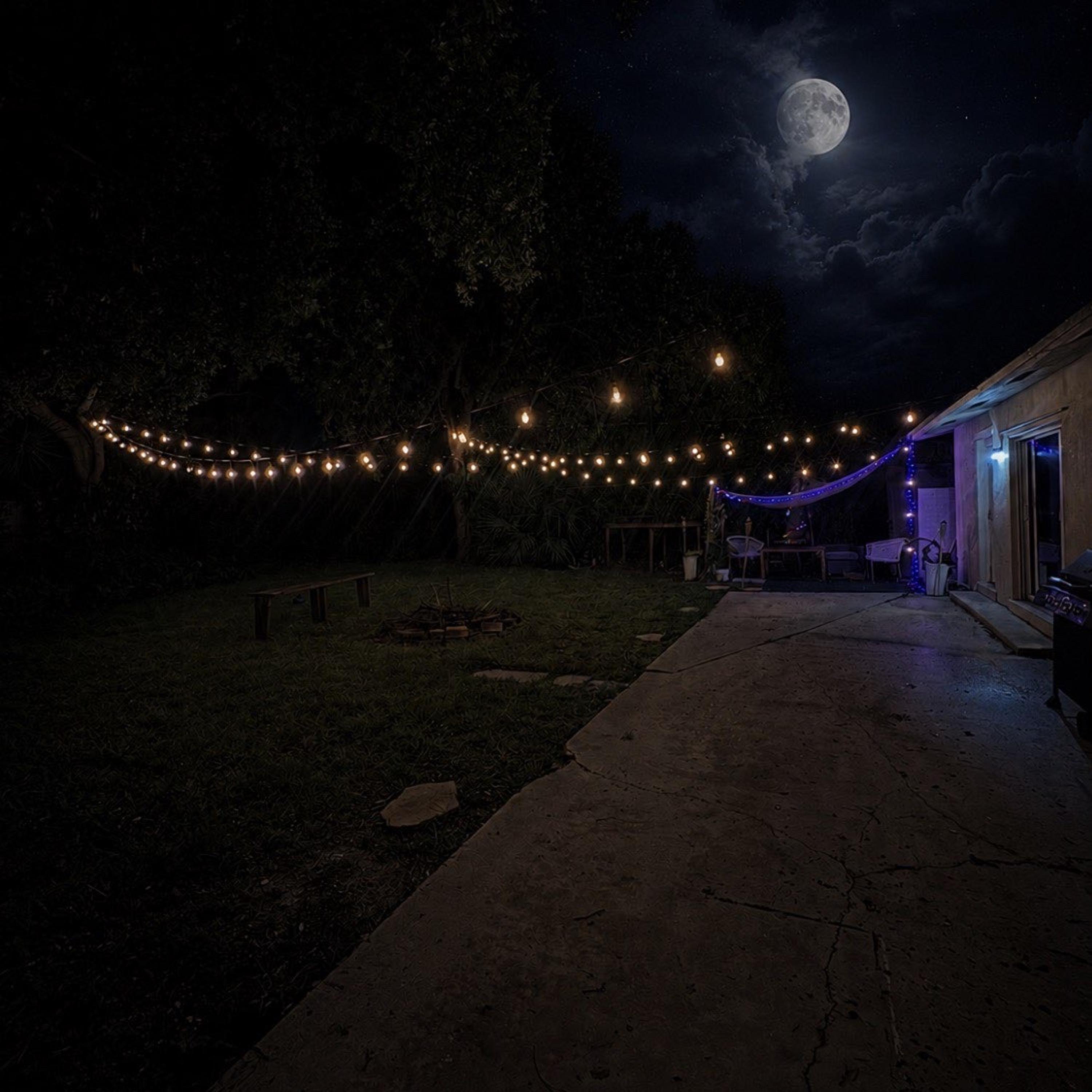 WHAT WE DO TONIGHT by COLE MURR cover art