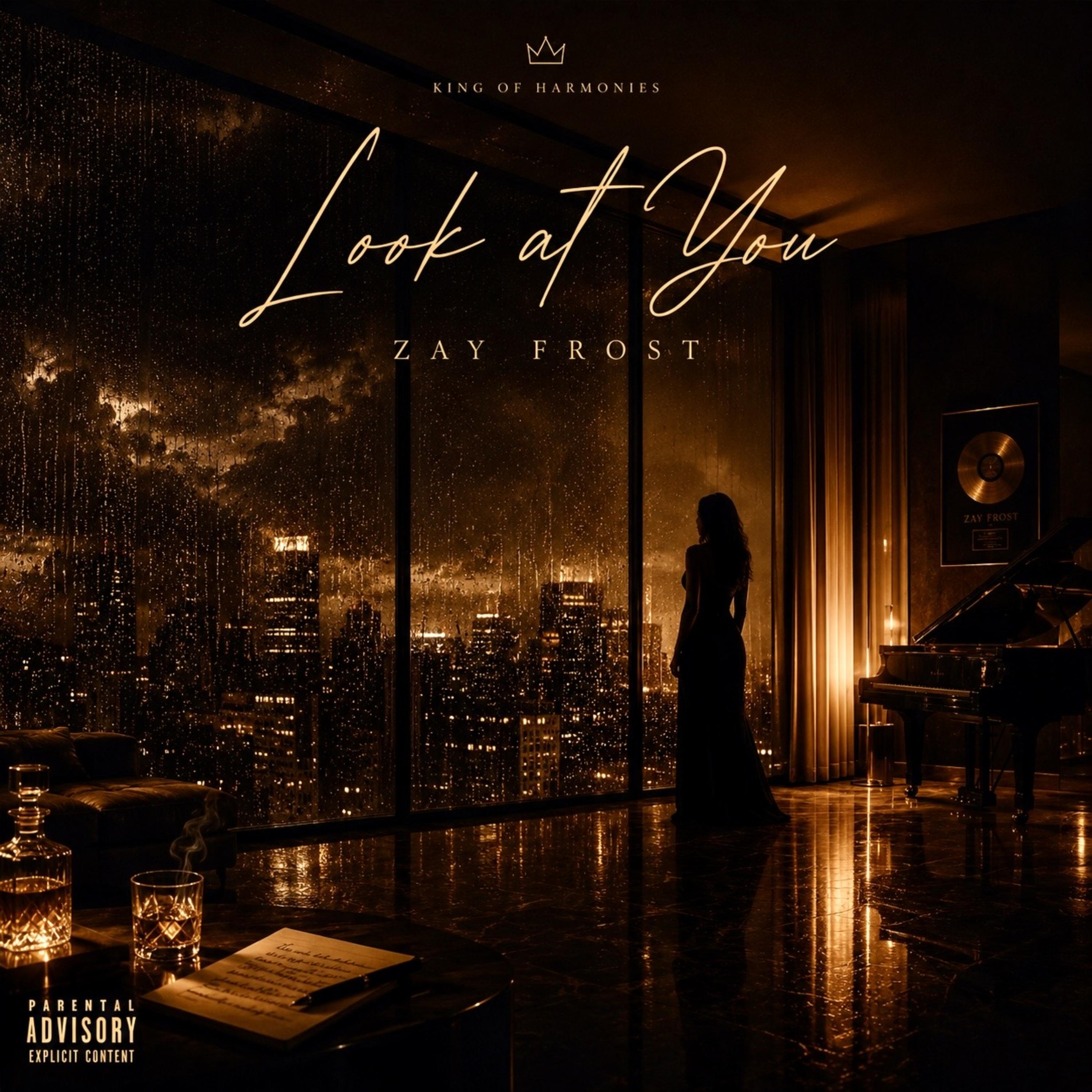 Look at You by Zay Frost