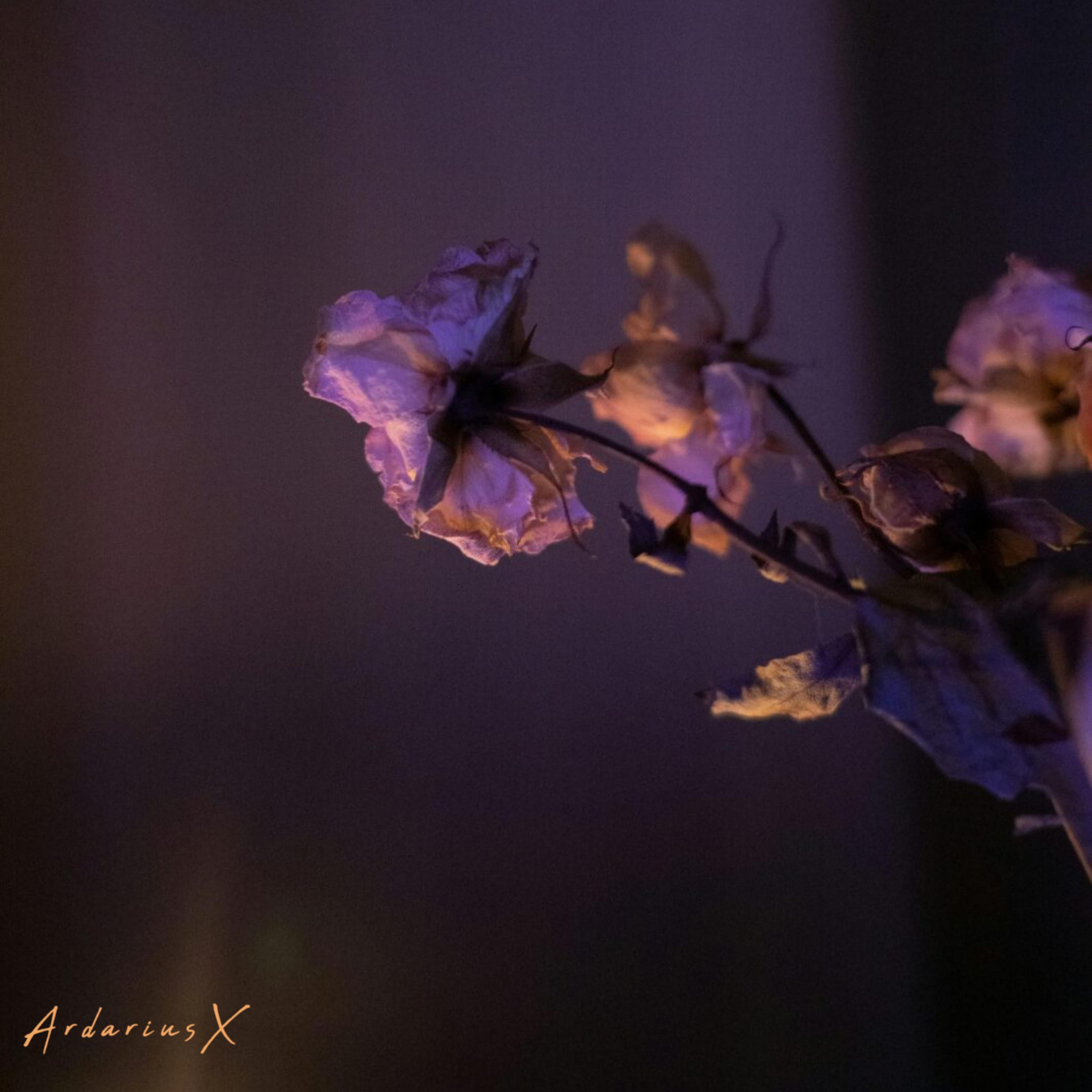 The purple glow 적열하는 artwork