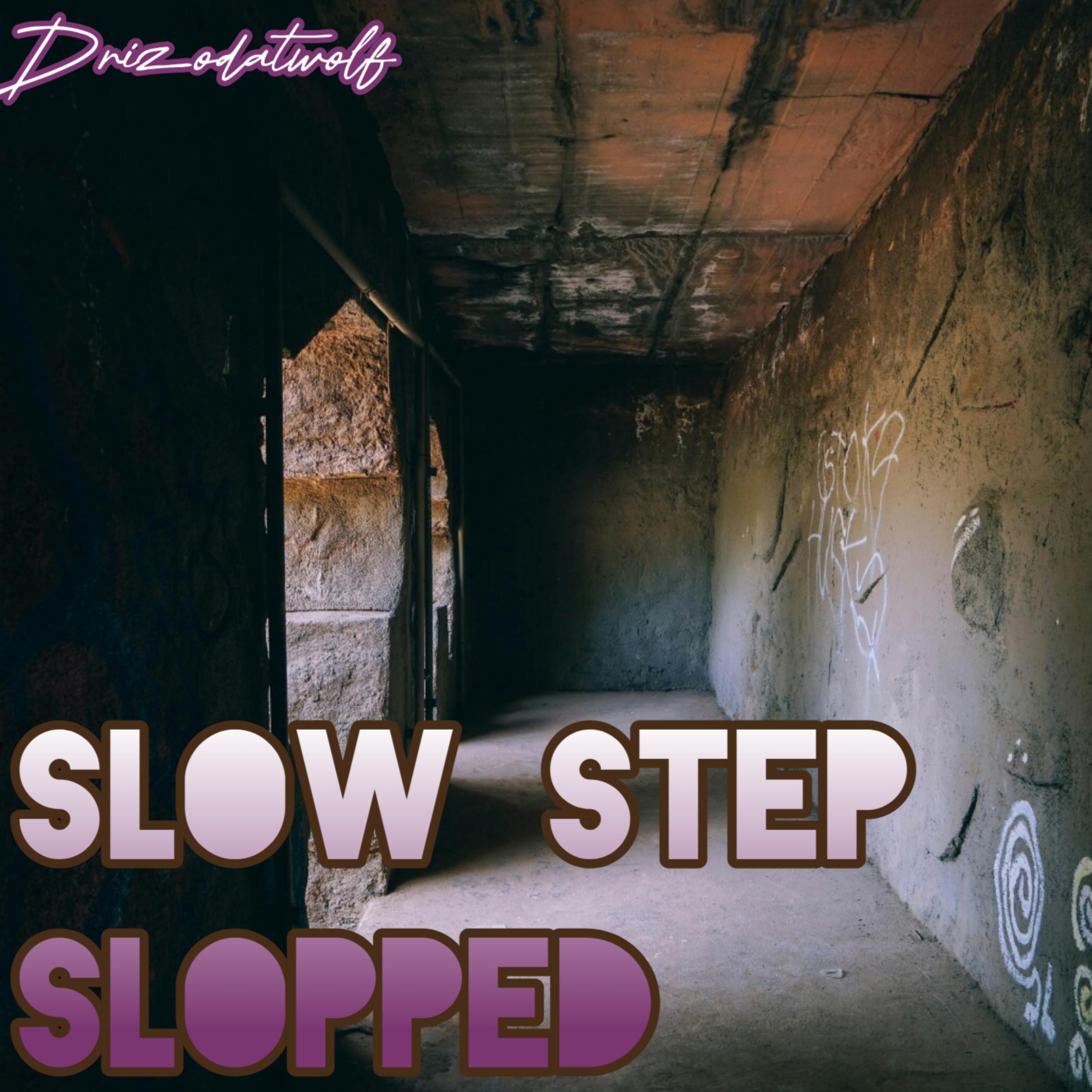 Slow Step Slopped artwork