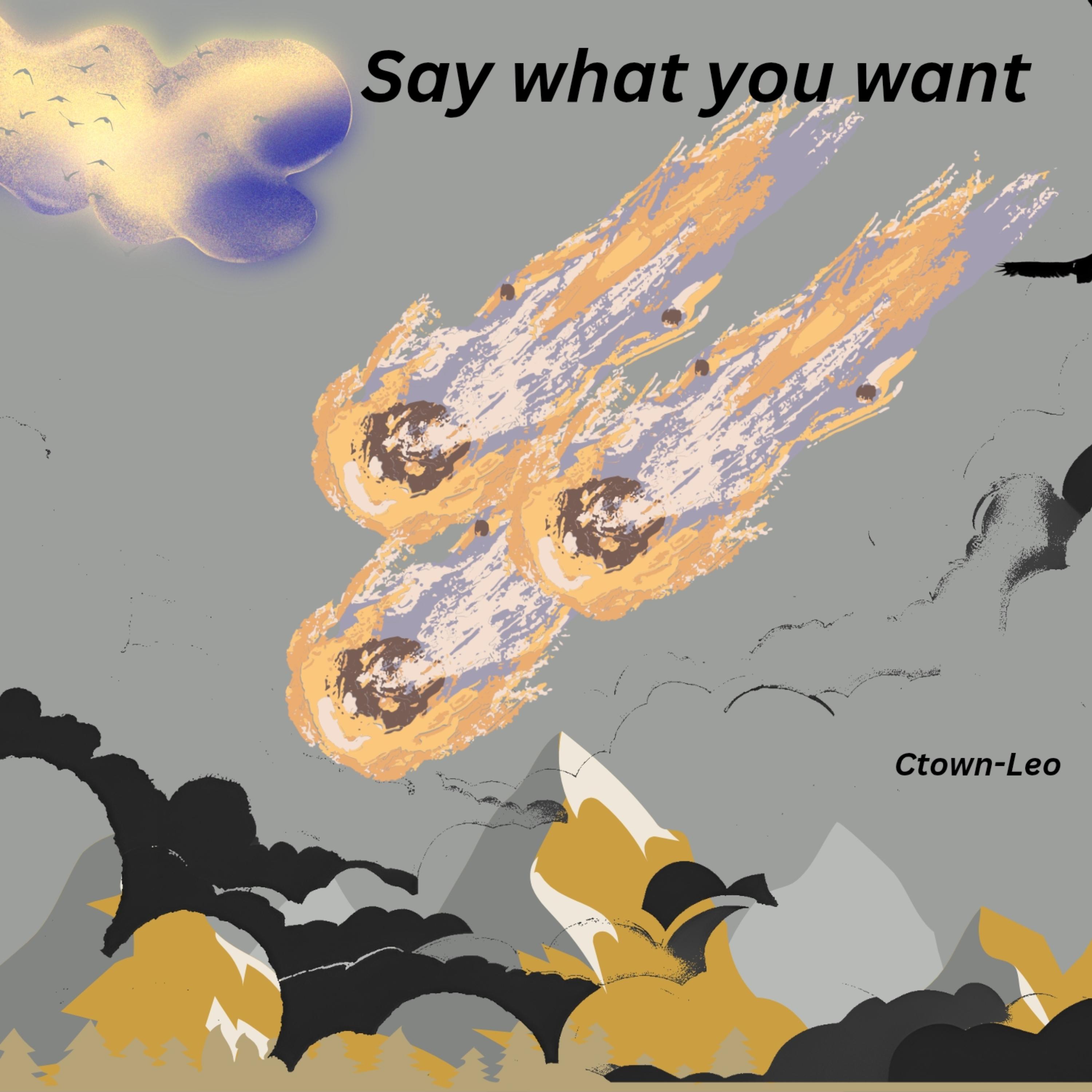 Say What You Want artwork