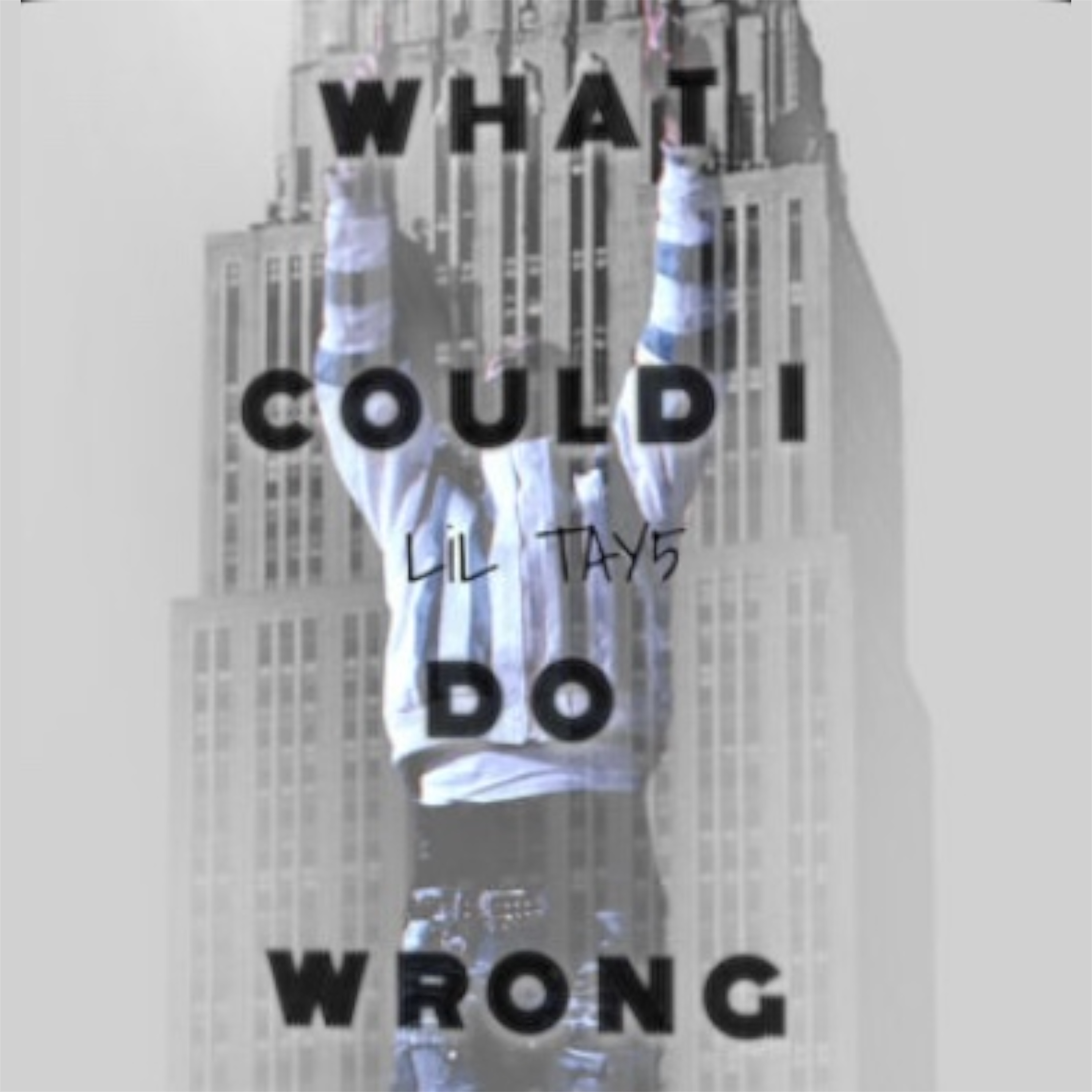 What Could I Do Wrong artwork