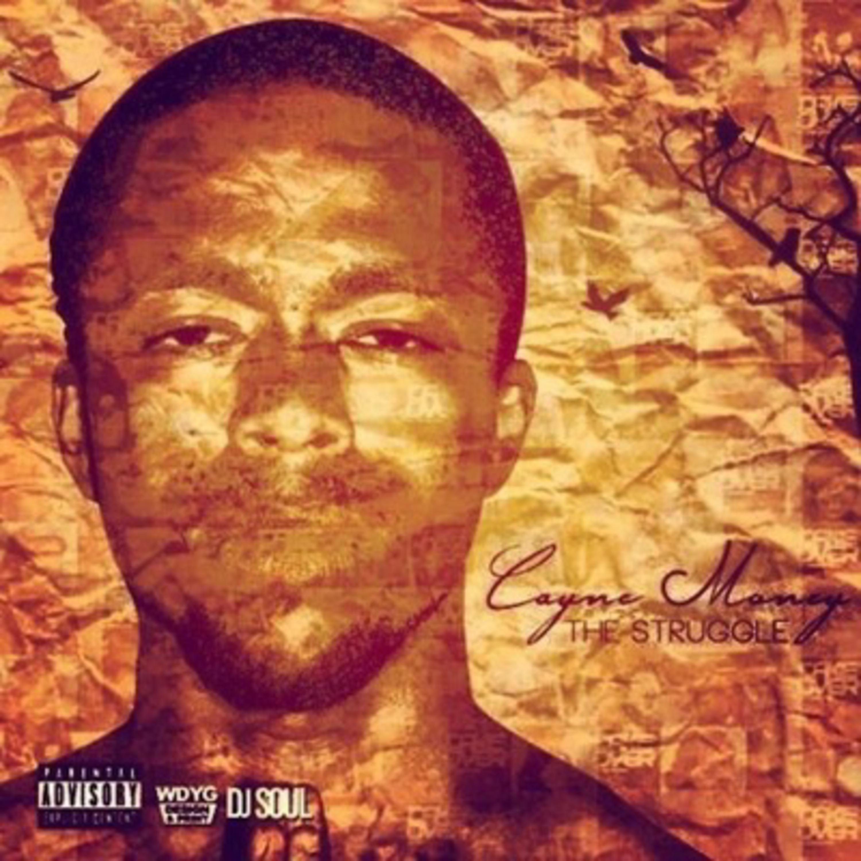 The Struggle artwork