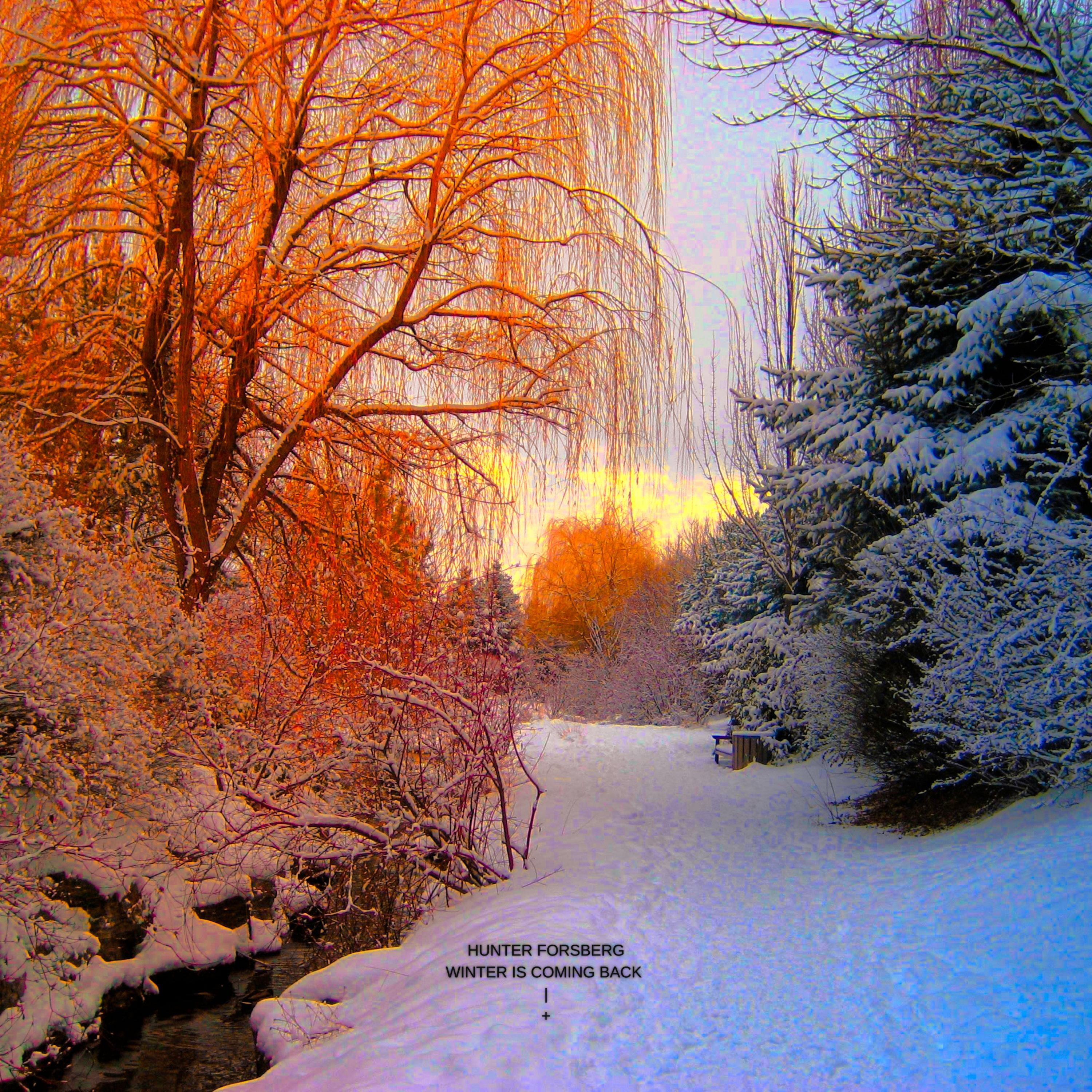 Winter is Coming Back artwork