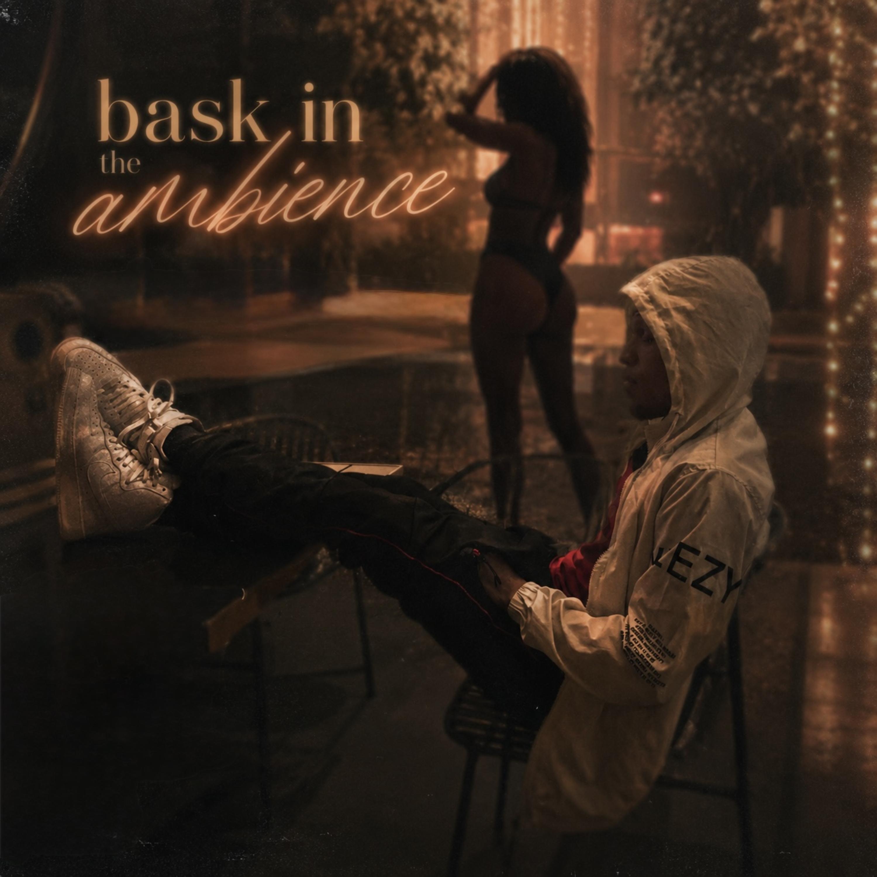 Bask In The Ambience by JOEY MILLER cover art