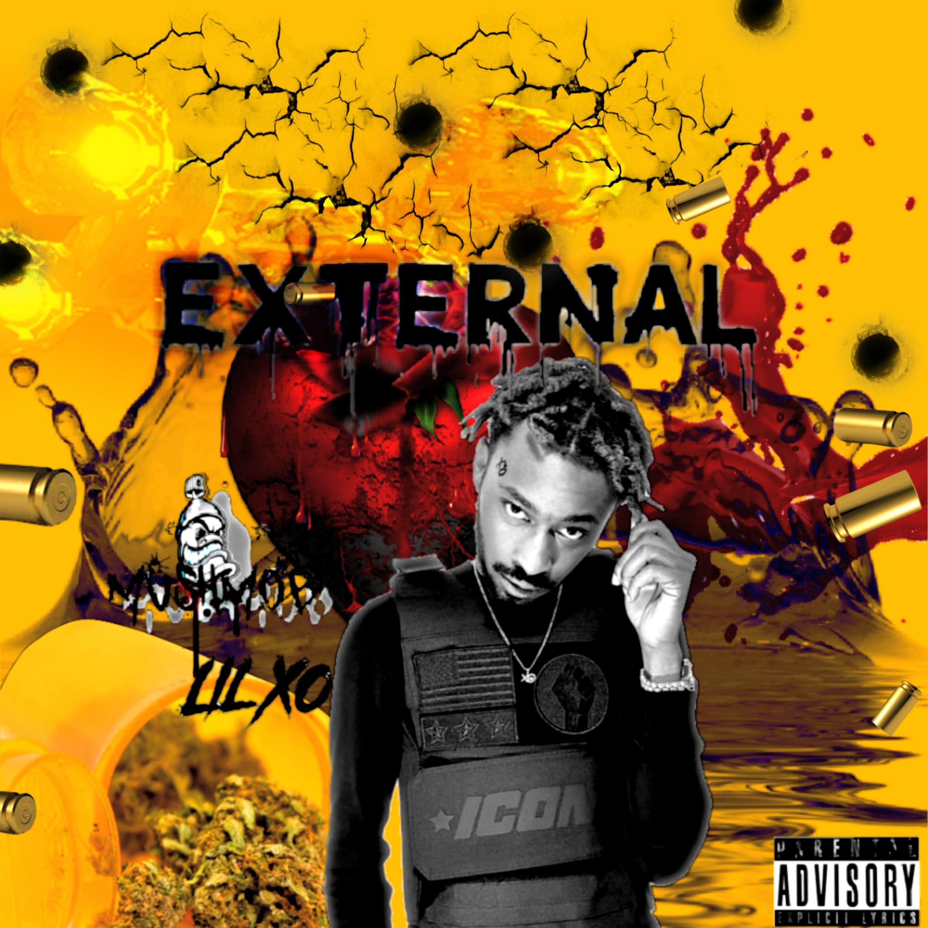 External Ep artwork
