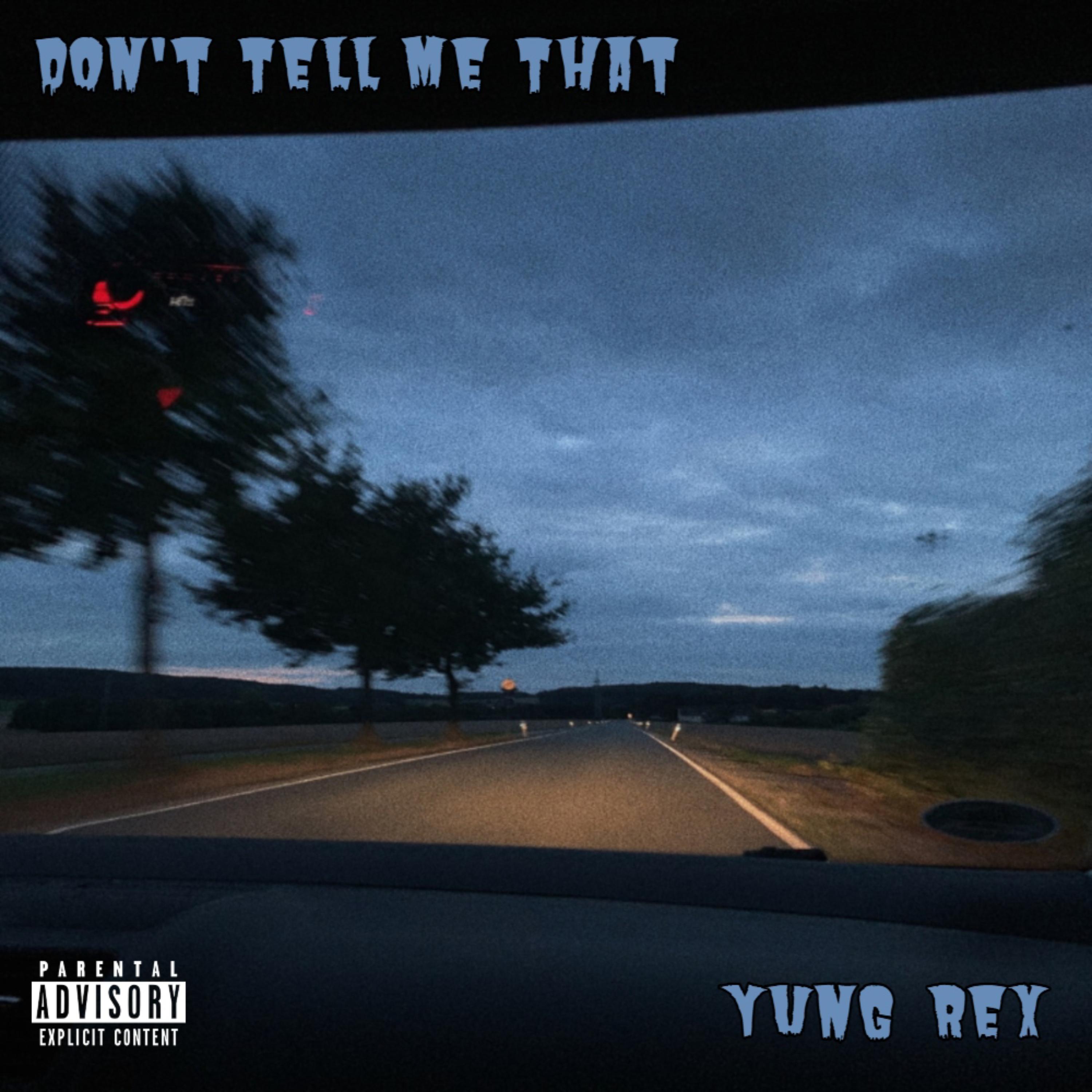 Don't Tell Me That artwork