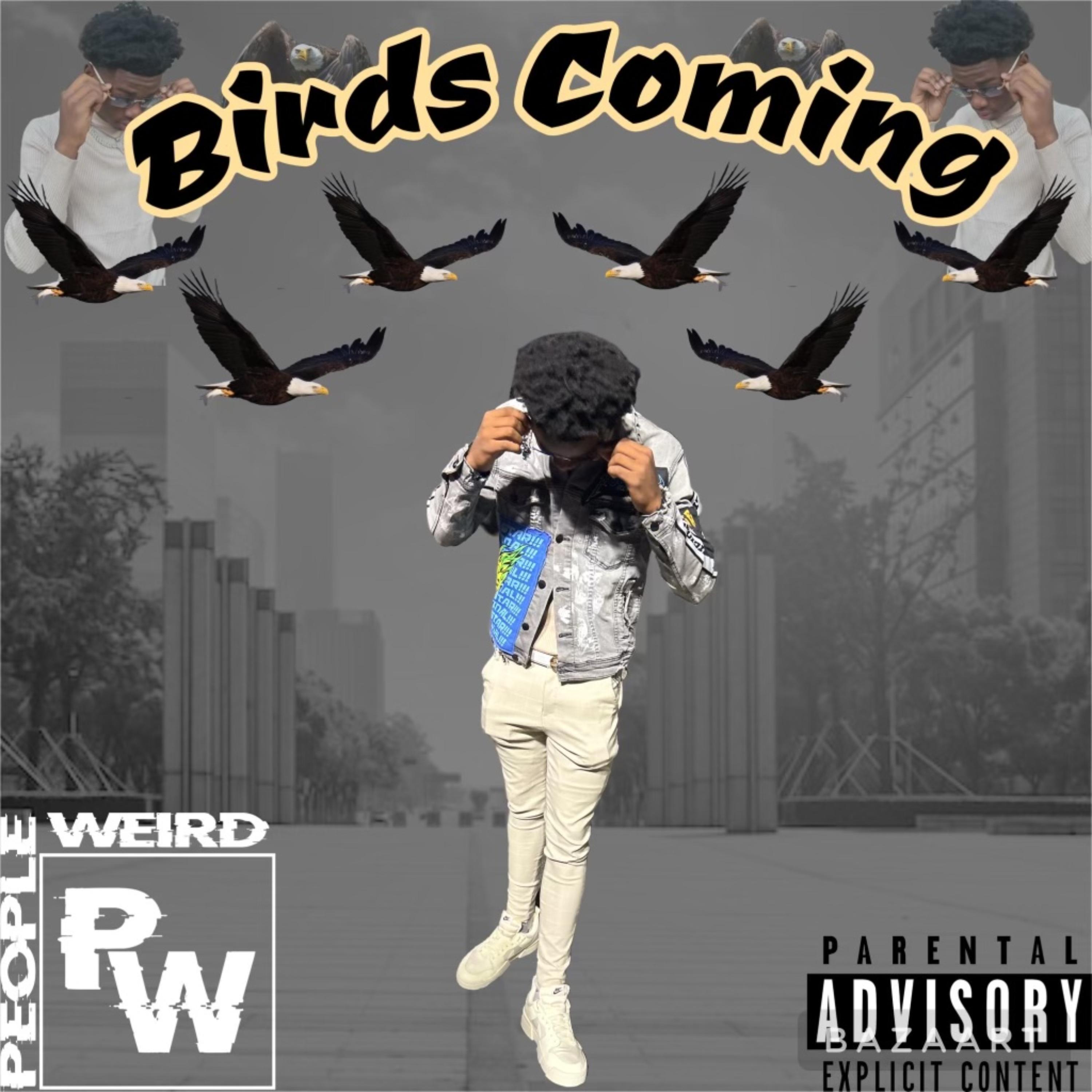 Birds Coming artwork