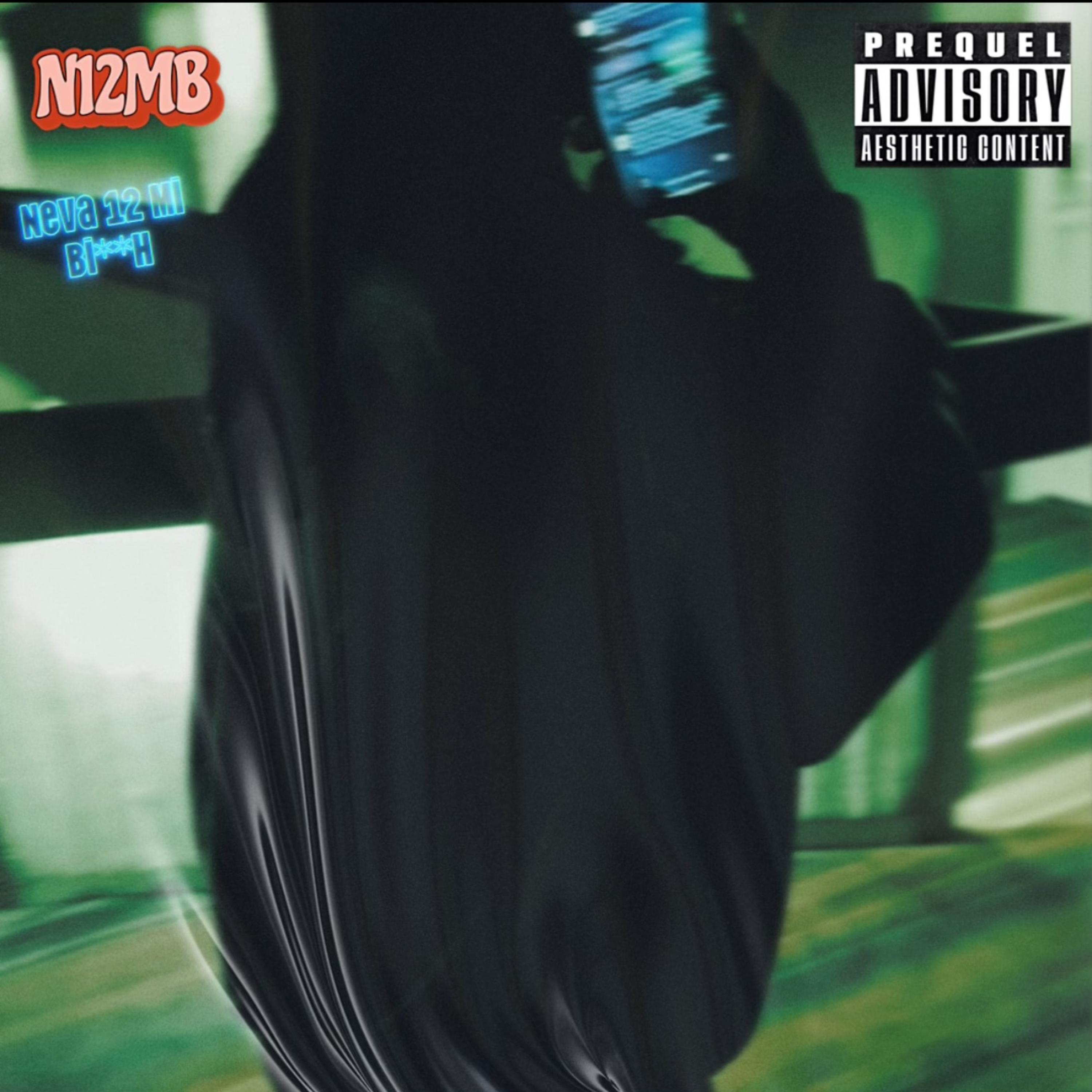 Neva 12 My BitCH artwork