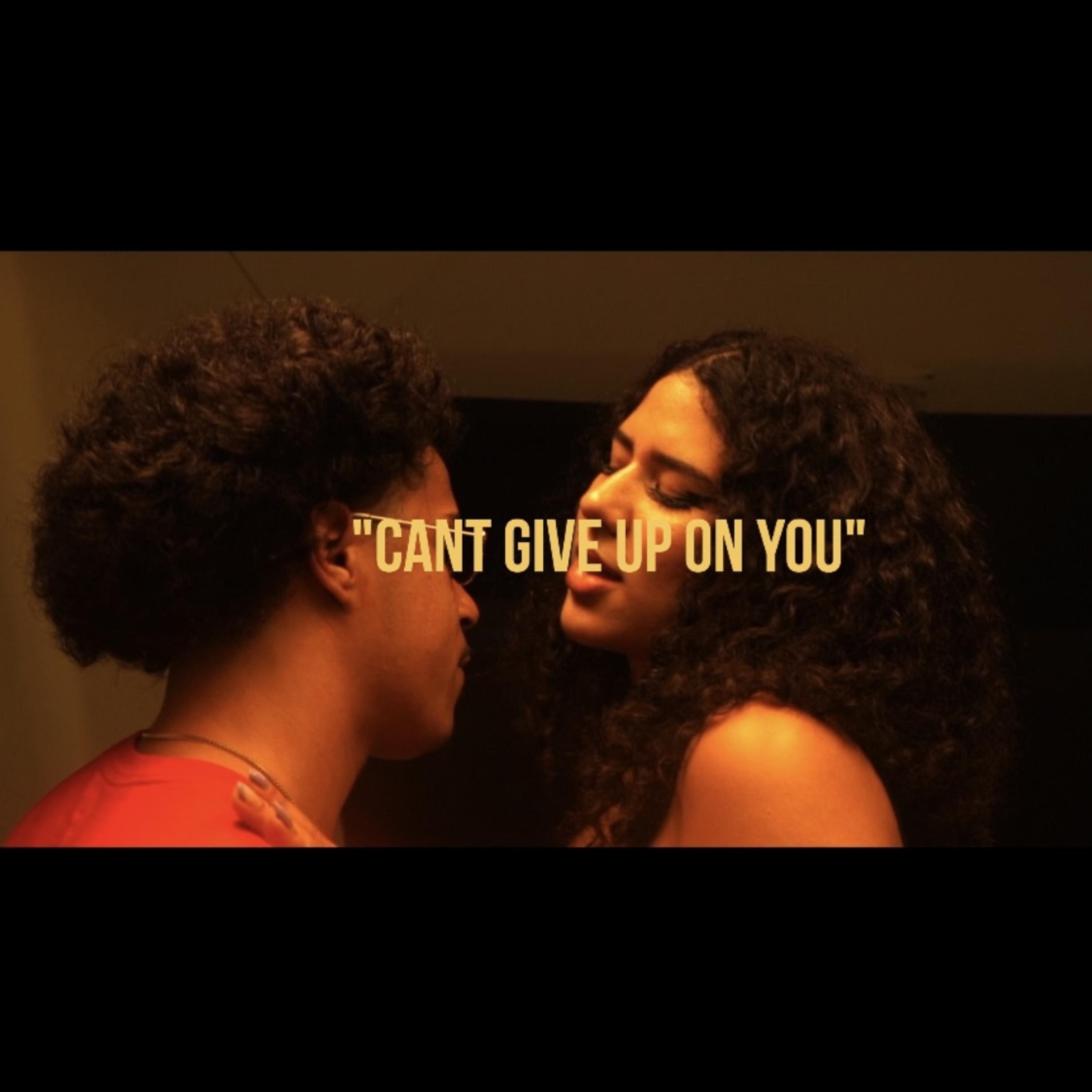Cant Give Up On You artwork