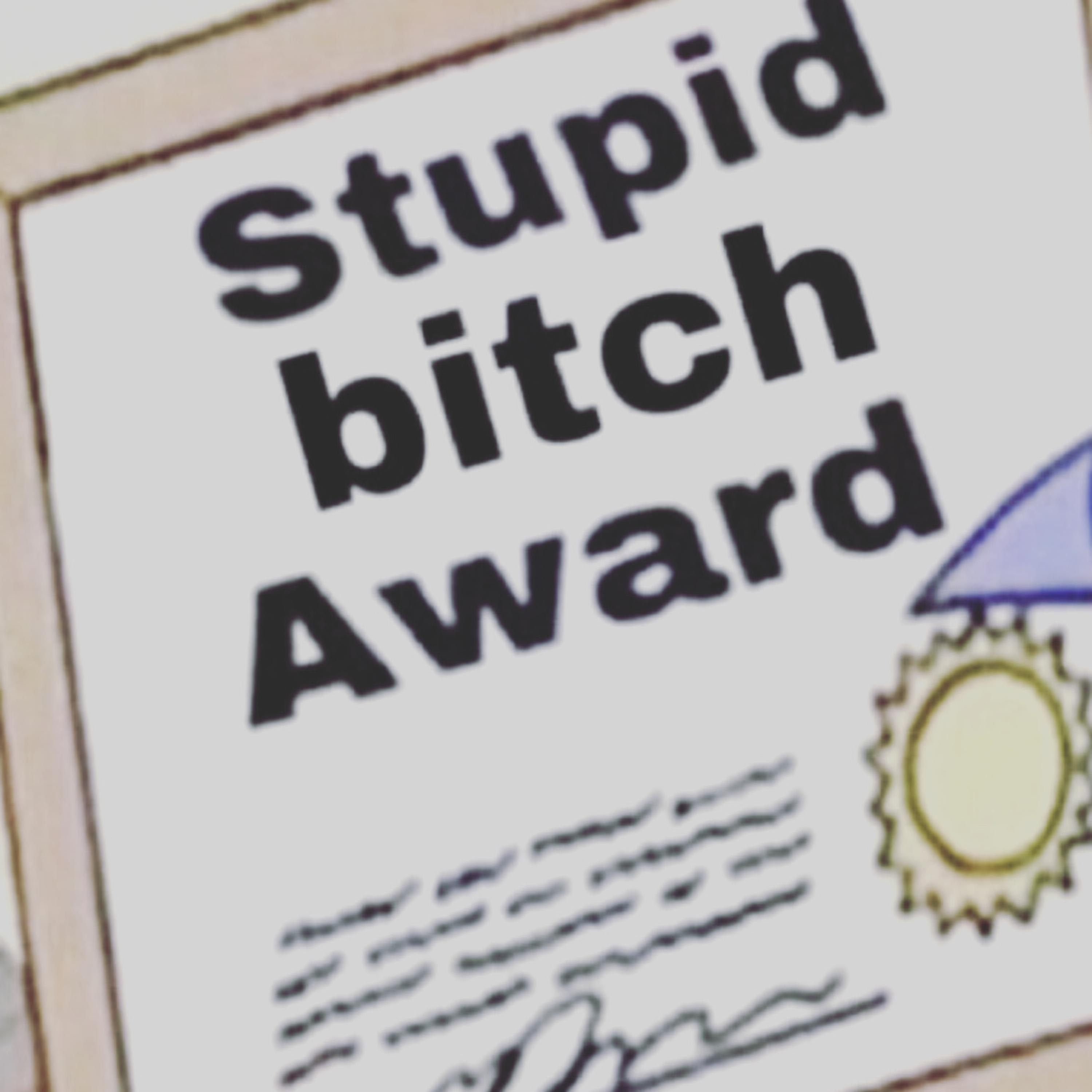 Stupid Bitch artwork