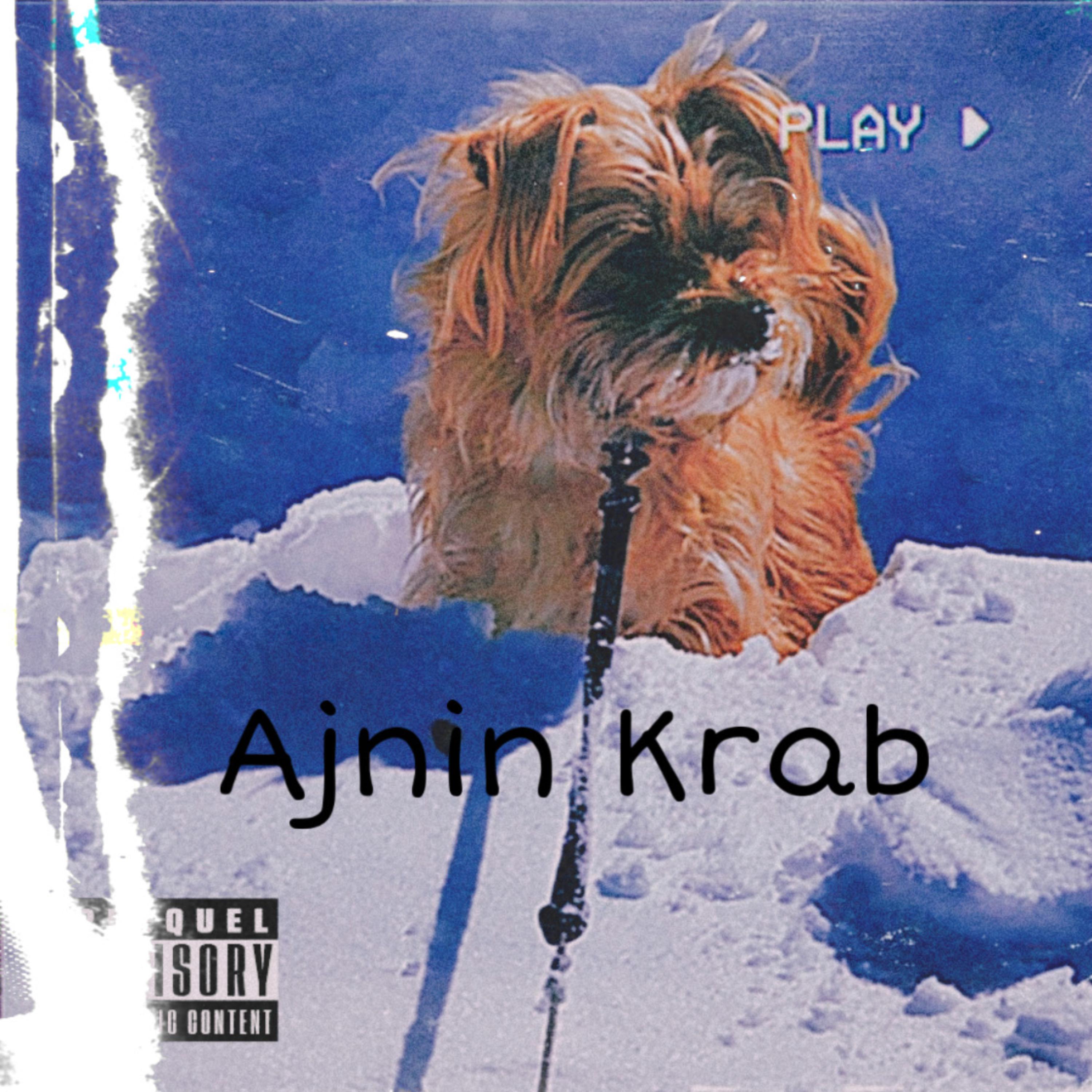 Ajnin Krab artwork