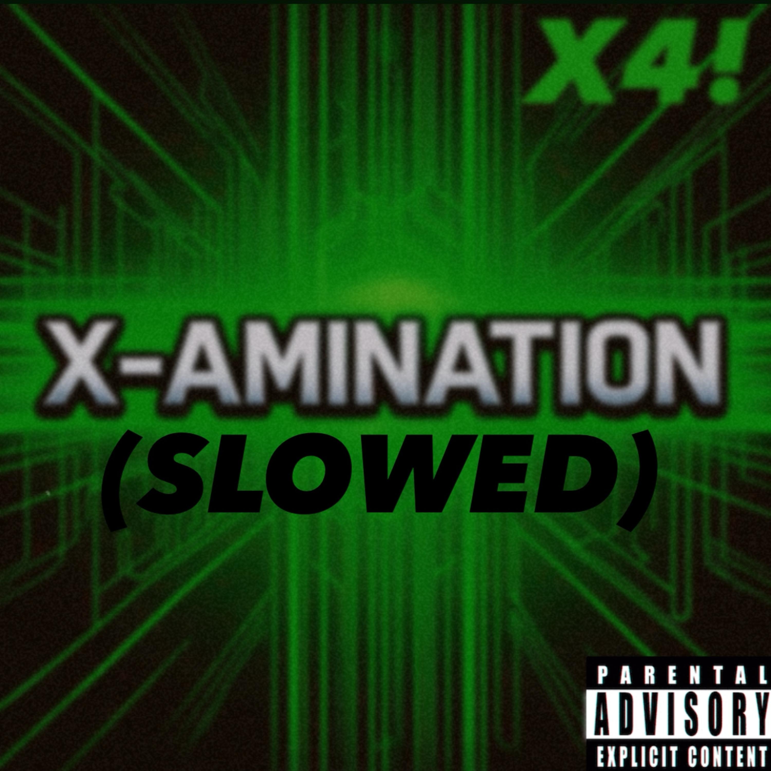X-AMINATION (SLOWED) artwork