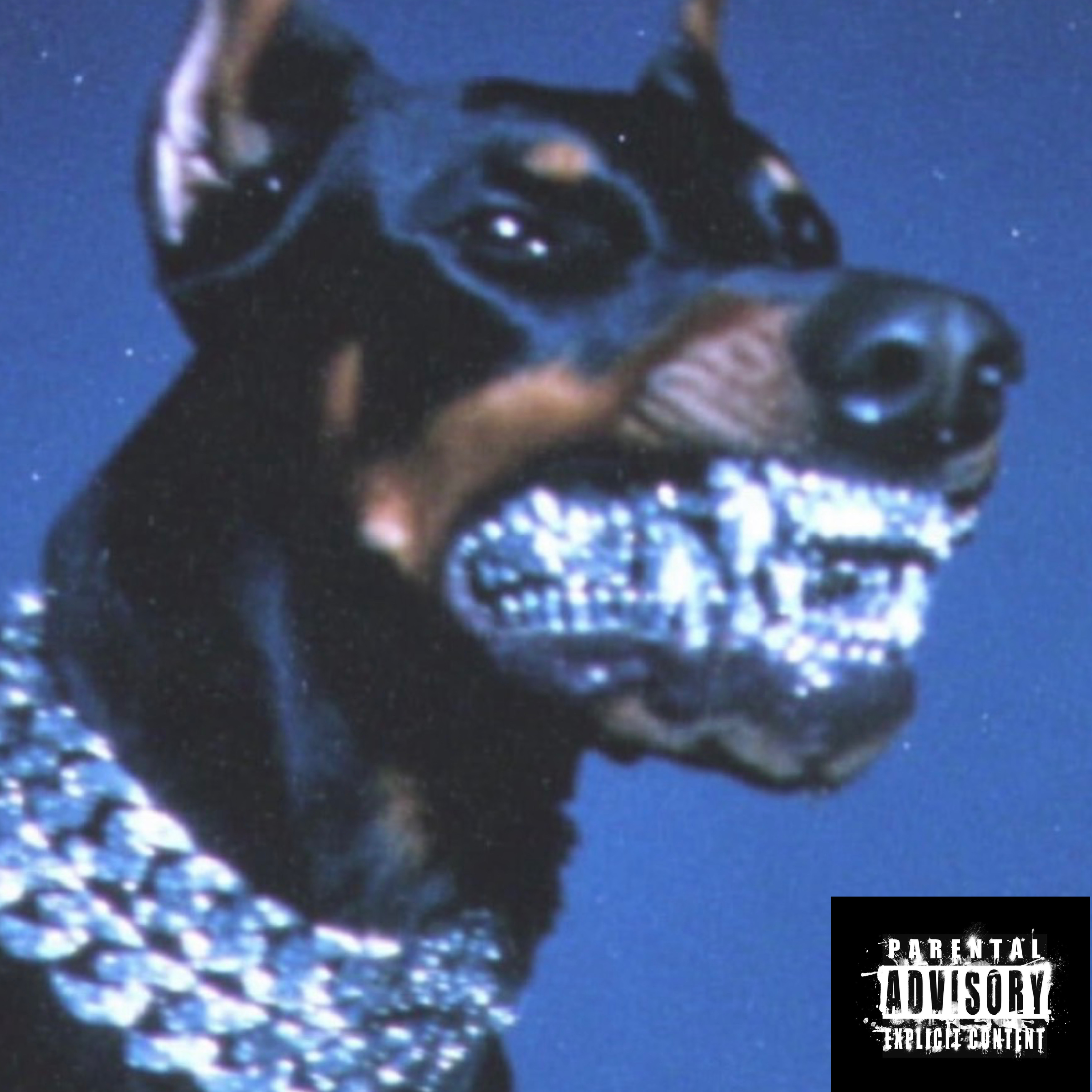 VANITY (Slowed) artwork