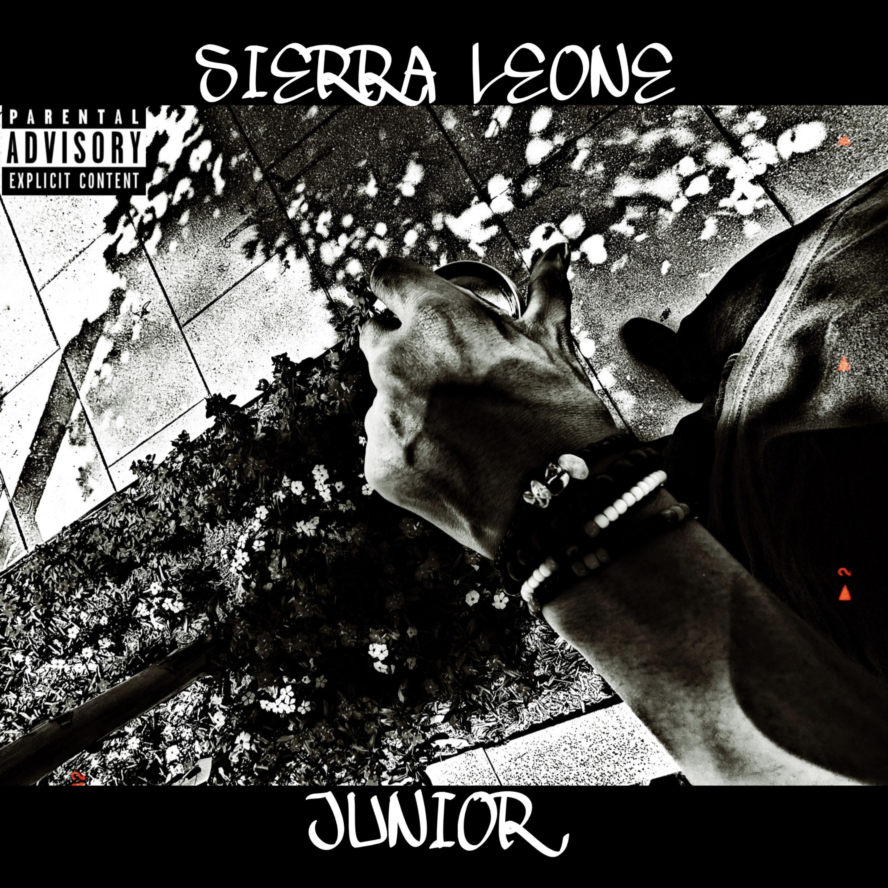 Sierra Leone artwork